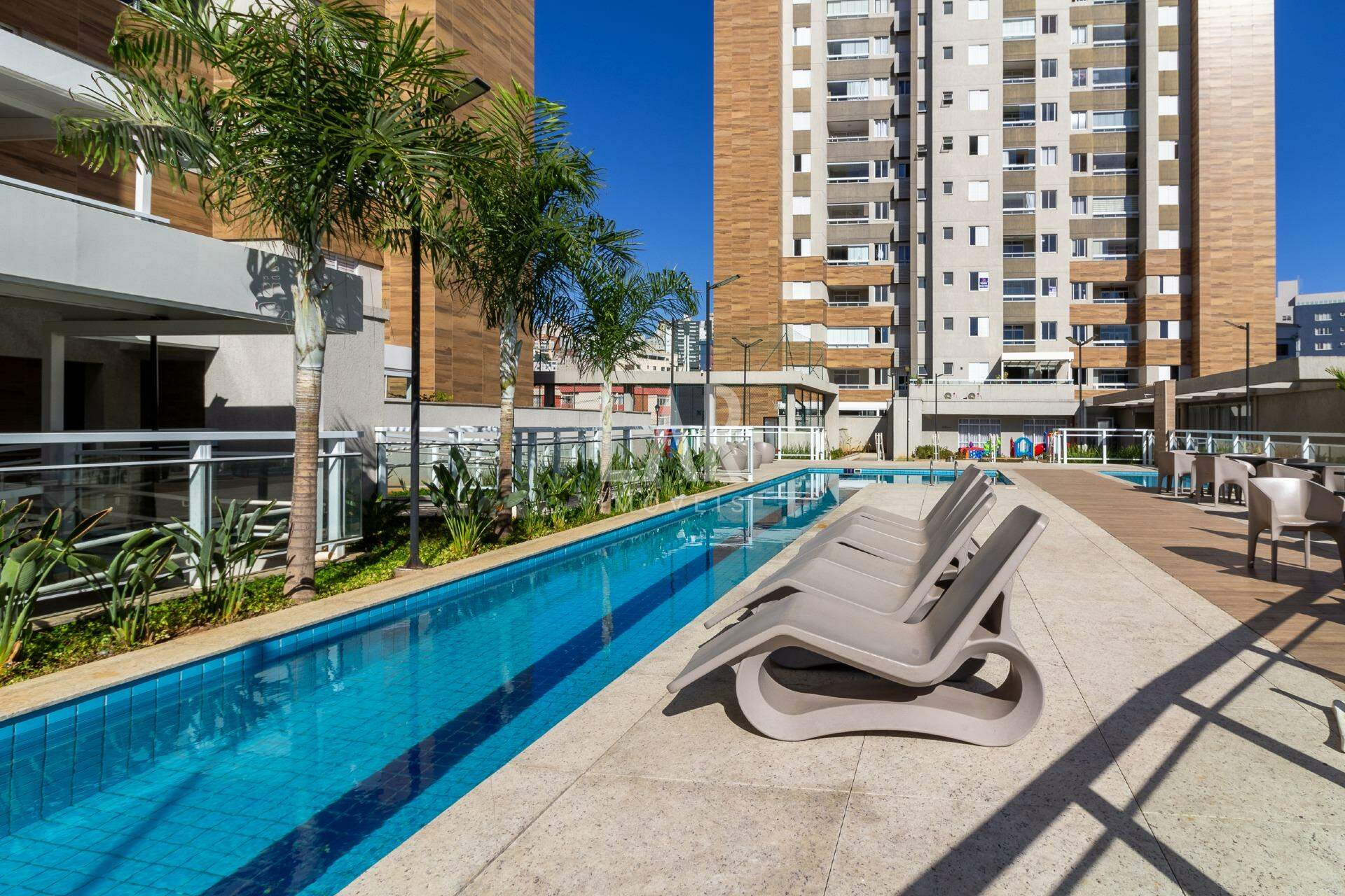 Apartamento de 3 quartos para alugar, Nova Suíssa, Belo Horizonte - MG