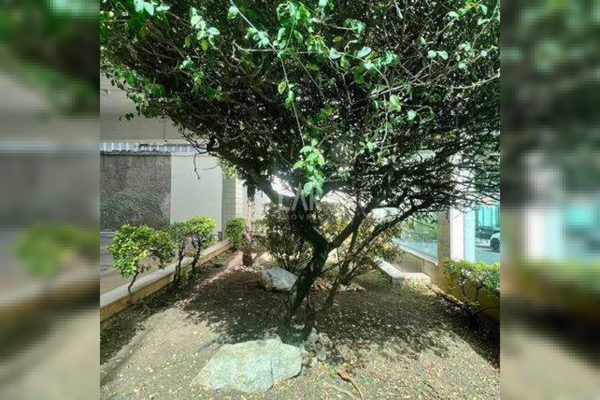 Apartamento de 3 quartos à venda, Nova Granada, Belo Horizonte - MG