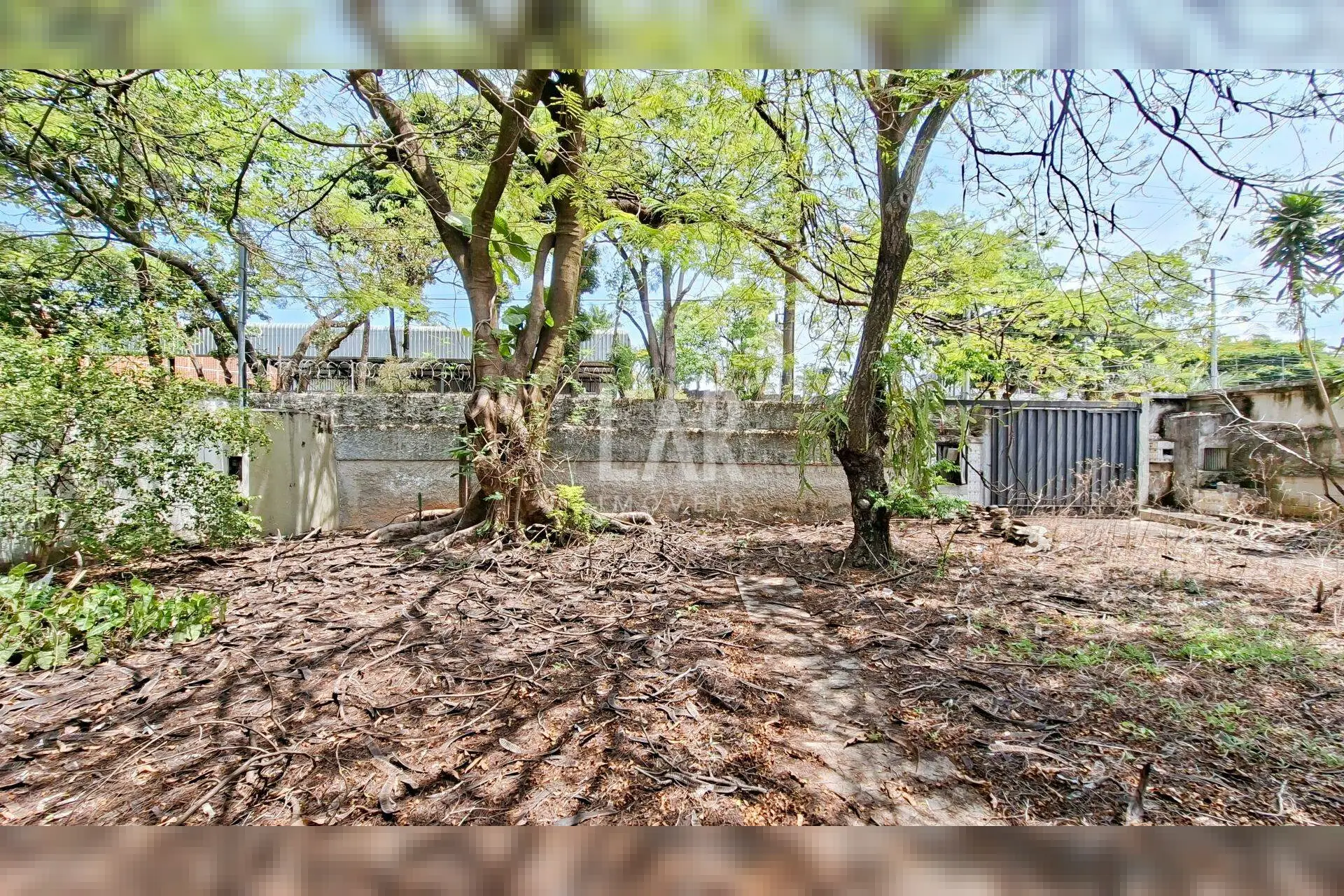 Casa de 4 quartos à venda, São Luiz, Belo Horizonte - MG