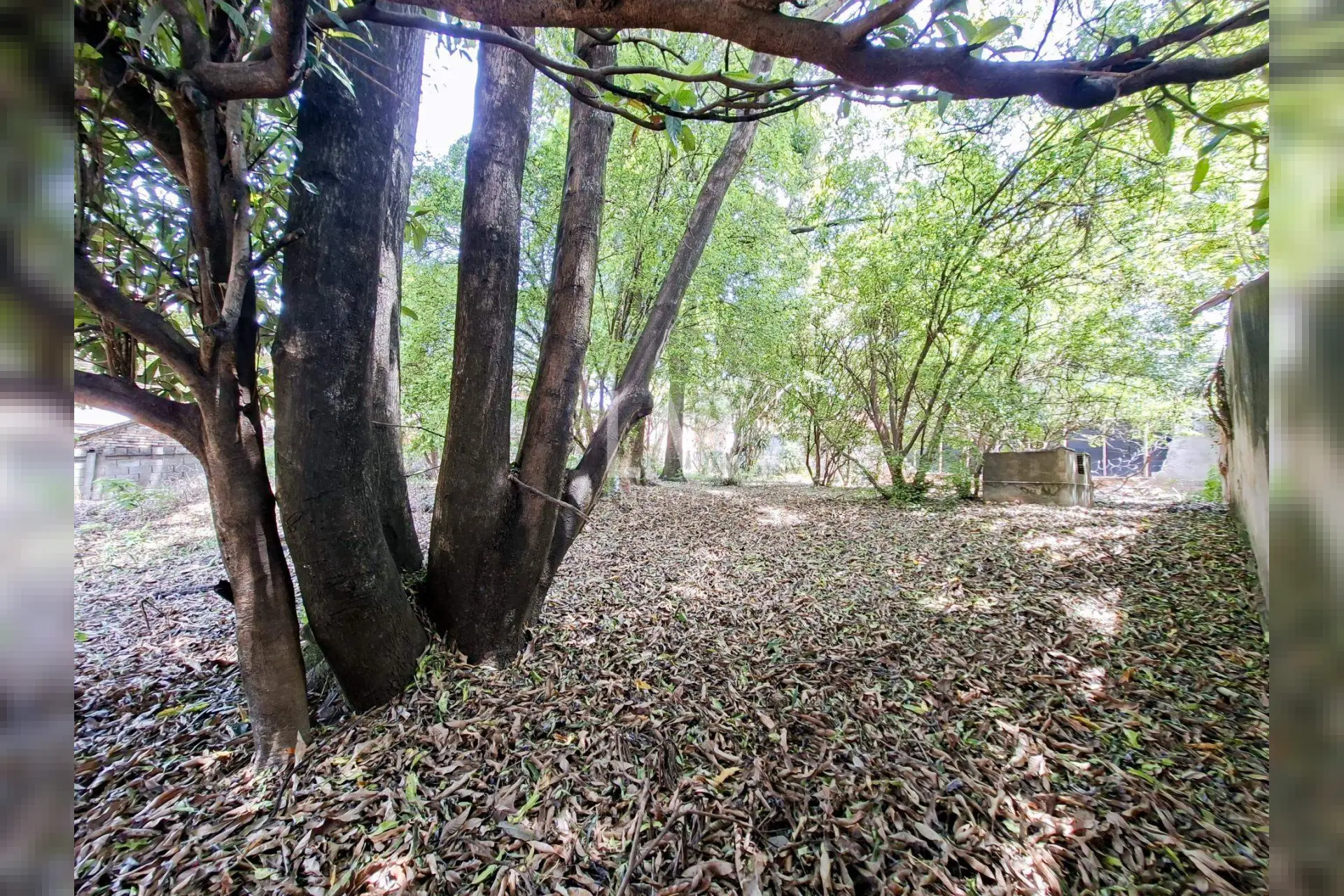 Casa de 4 quartos à venda, São Luiz, Belo Horizonte - MG