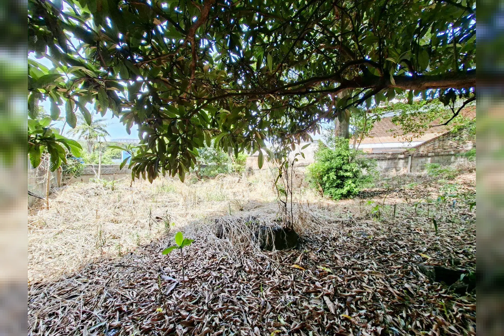 Casa de 4 quartos à venda, São Luiz, Belo Horizonte - MG