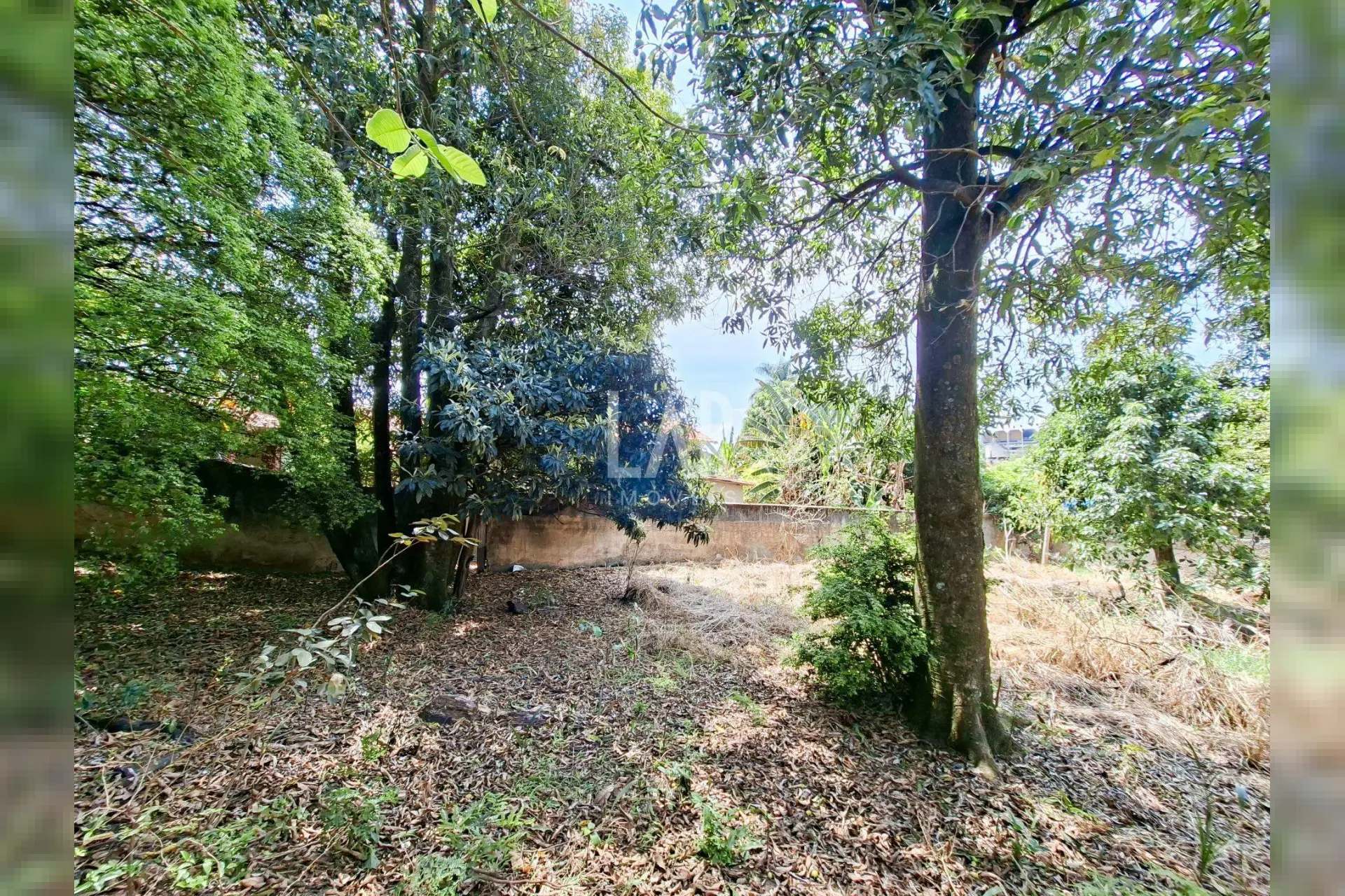 Casa de 4 quartos à venda, São Luiz, Belo Horizonte - MG