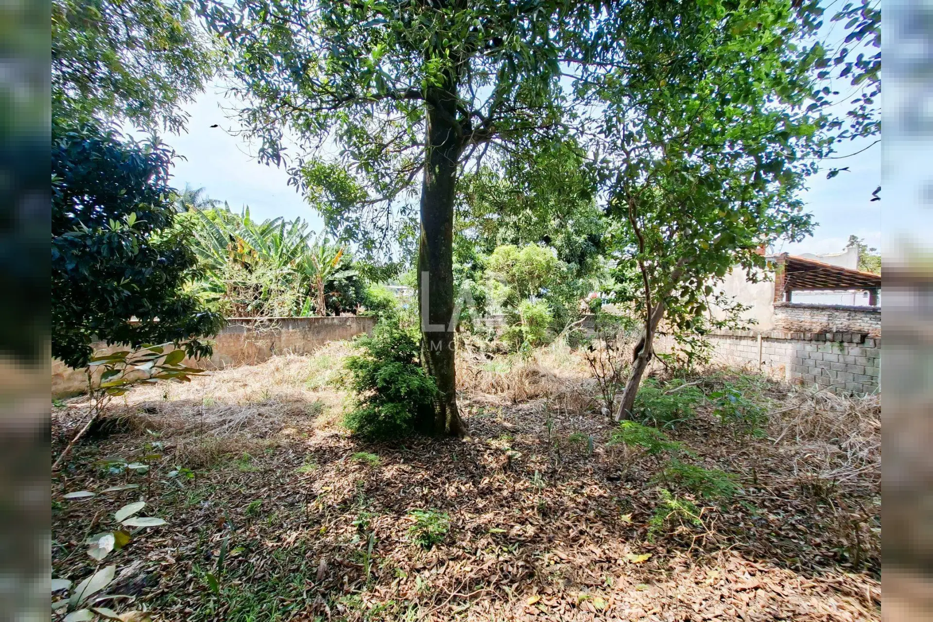 Casa de 4 quartos à venda, São Luiz, Belo Horizonte - MG