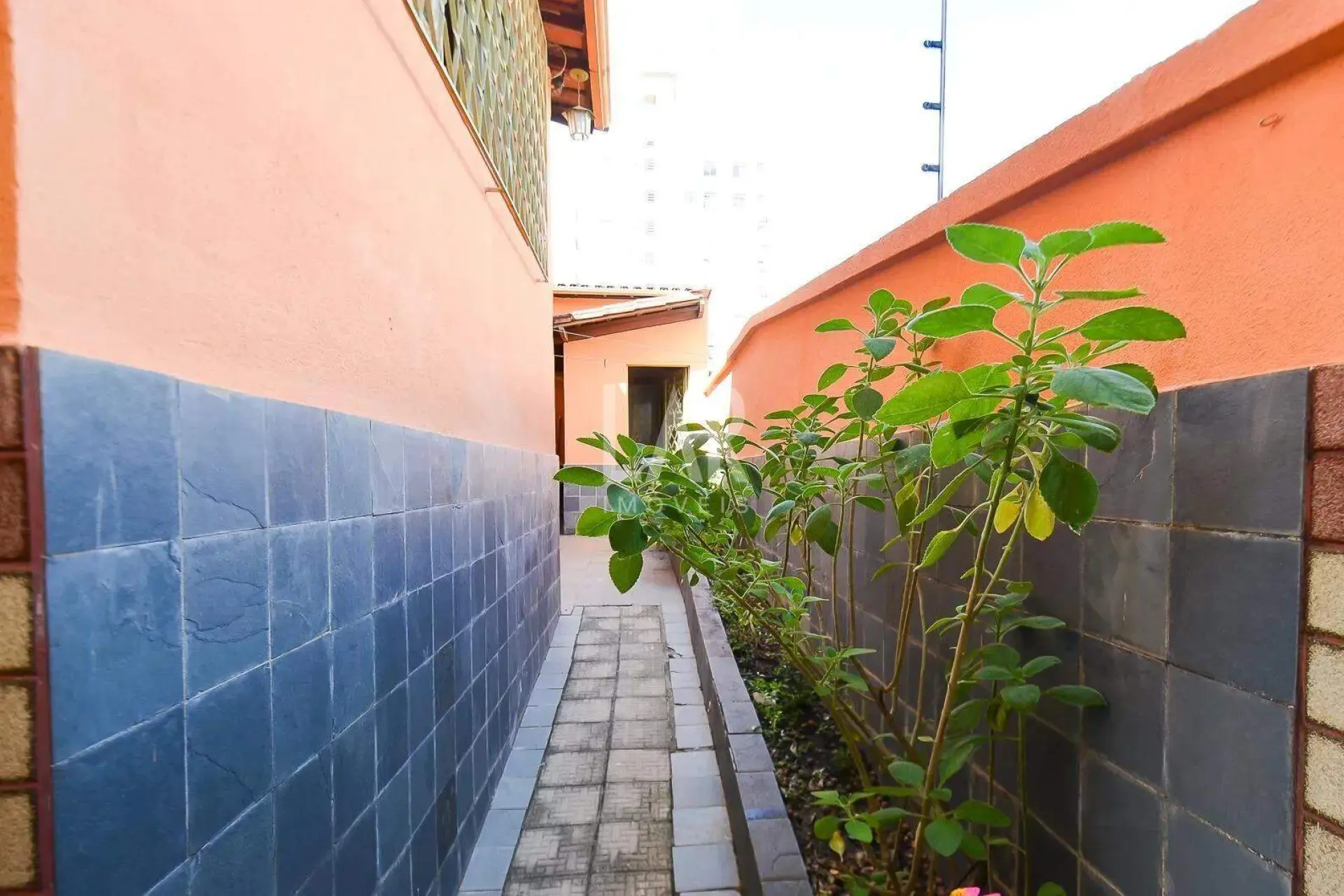 Casa de 5 quartos à venda, Sagrada Família, Belo Horizonte - MG