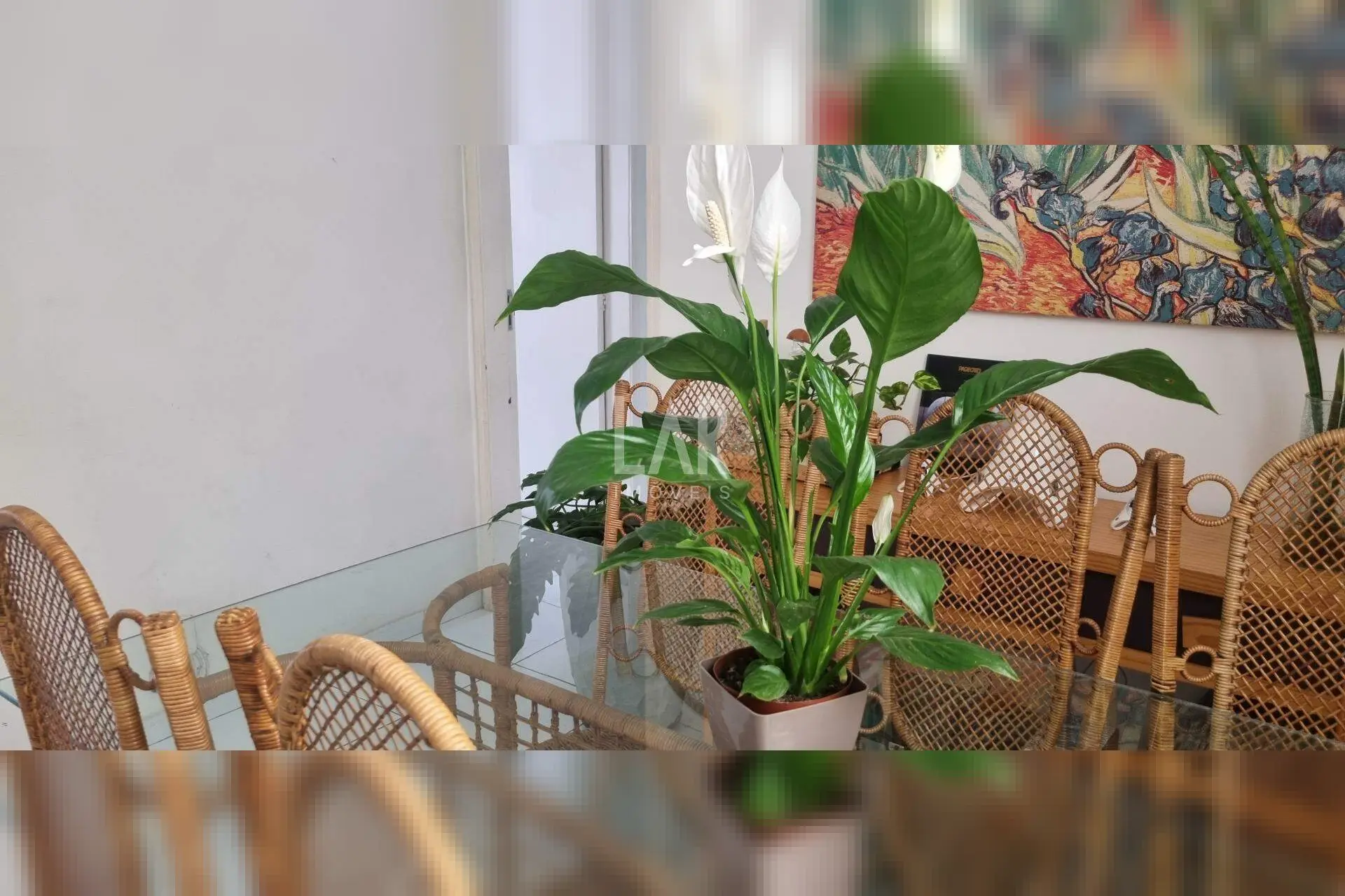 Apartamento de 3 quartos à venda, Coração de Jesus, Belo Horizonte - MG