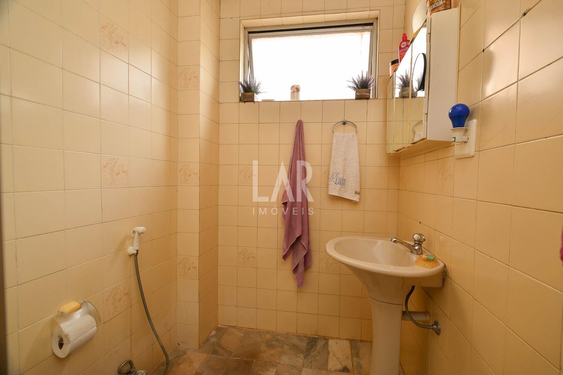 Cobertura de 4 quartos à venda, Santo Antônio, Belo Horizonte - MG