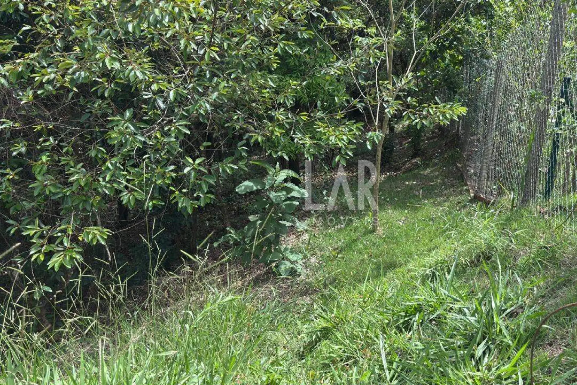 Lote em Condomínio à venda, Campo do Pires, Nova Lima - MG