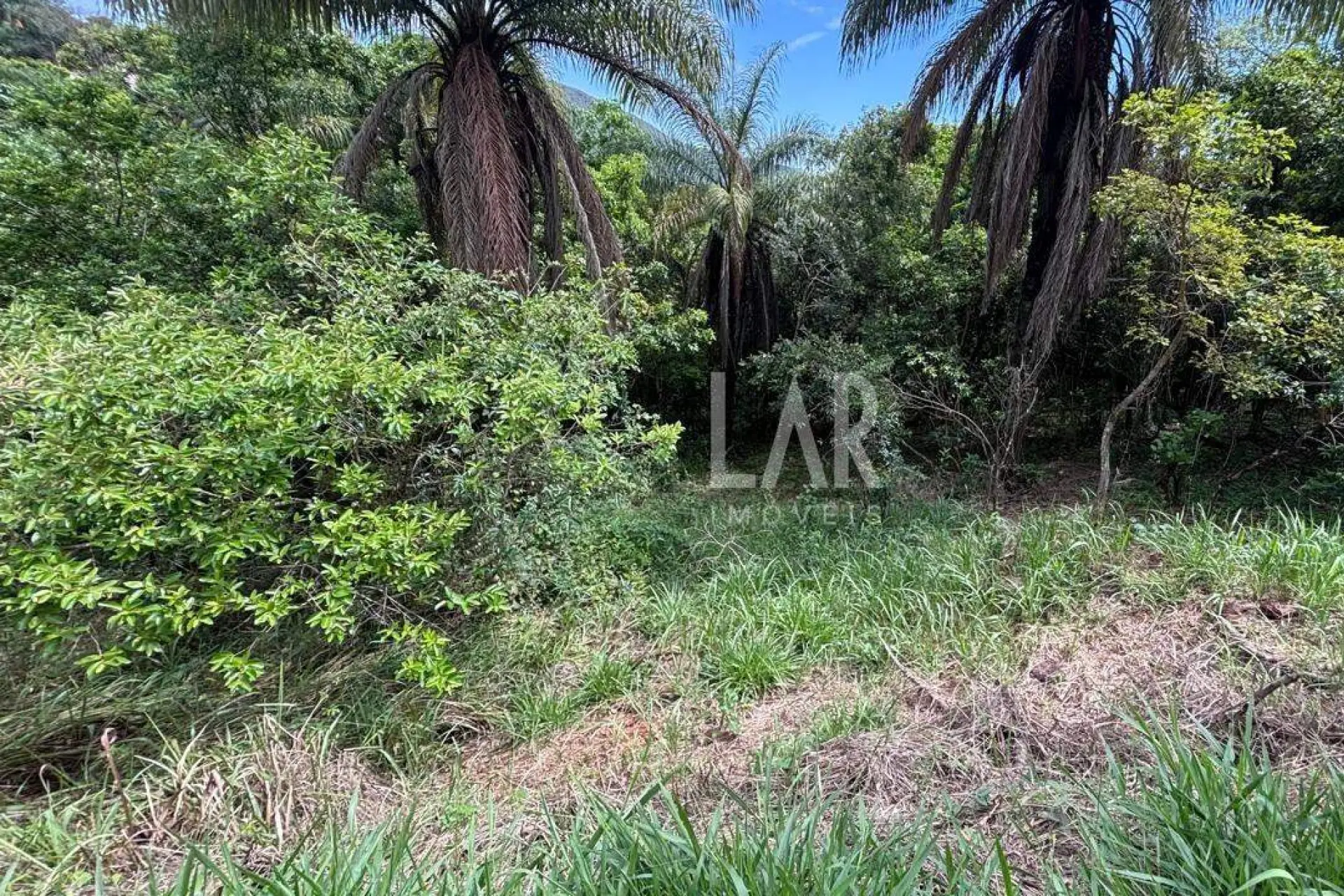 Lote em Condomínio à venda, Campo do Pires, Nova Lima - MG