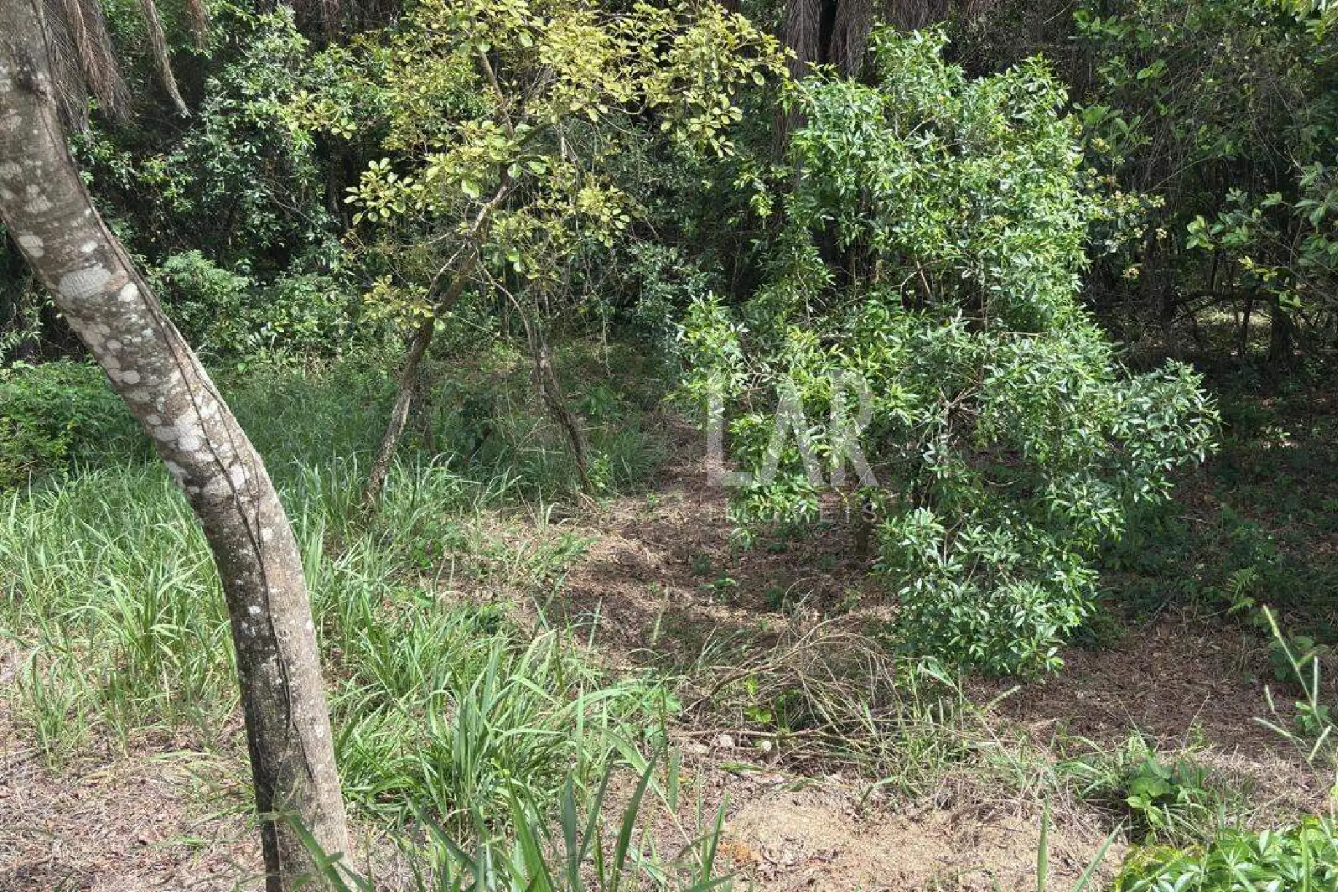 Lote em Condomínio à venda, Campo do Pires, Nova Lima - MG