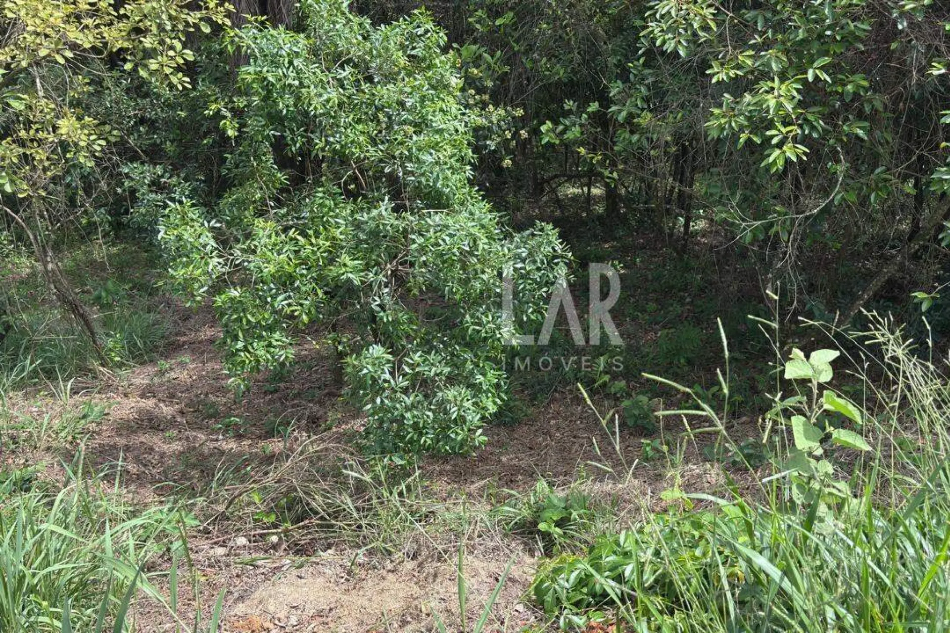 Lote em Condomínio à venda, Campo do Pires, Nova Lima - MG