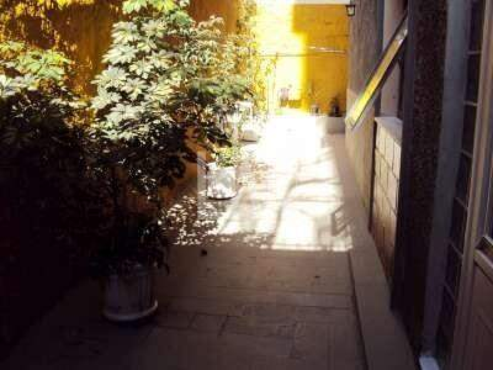 Apartamento de 4 quartos à venda, Santo Antônio, Belo Horizonte - MG
