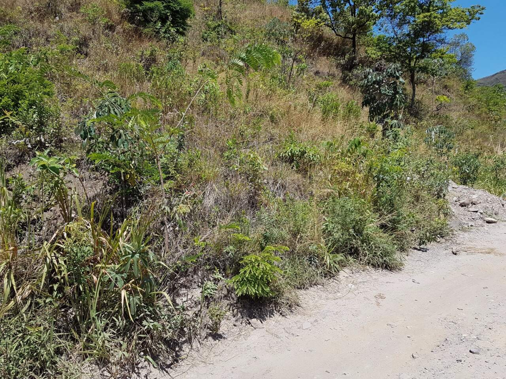 Lote - Terreno à venda, Mangabeiras, Belo Horizonte - MG