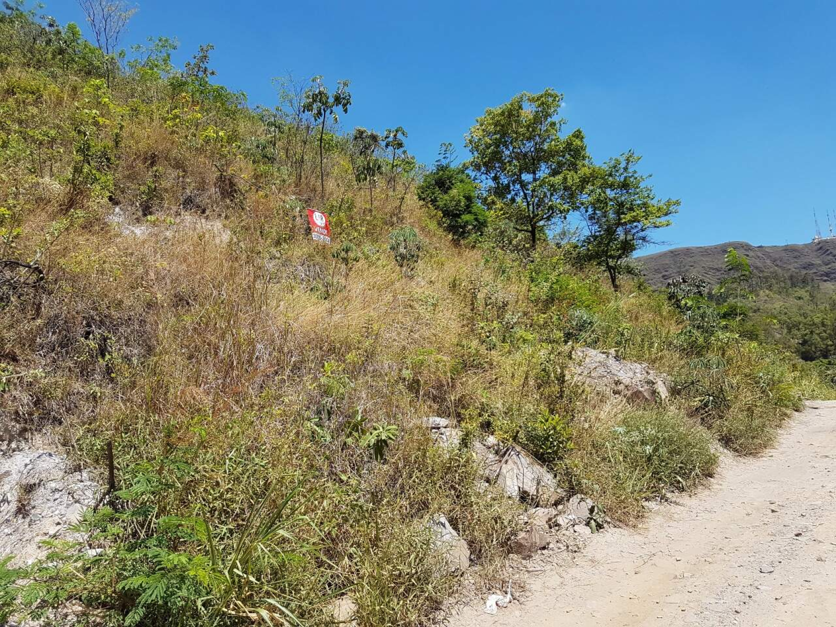 Lote - Terreno à venda, Mangabeiras, Belo Horizonte - MG