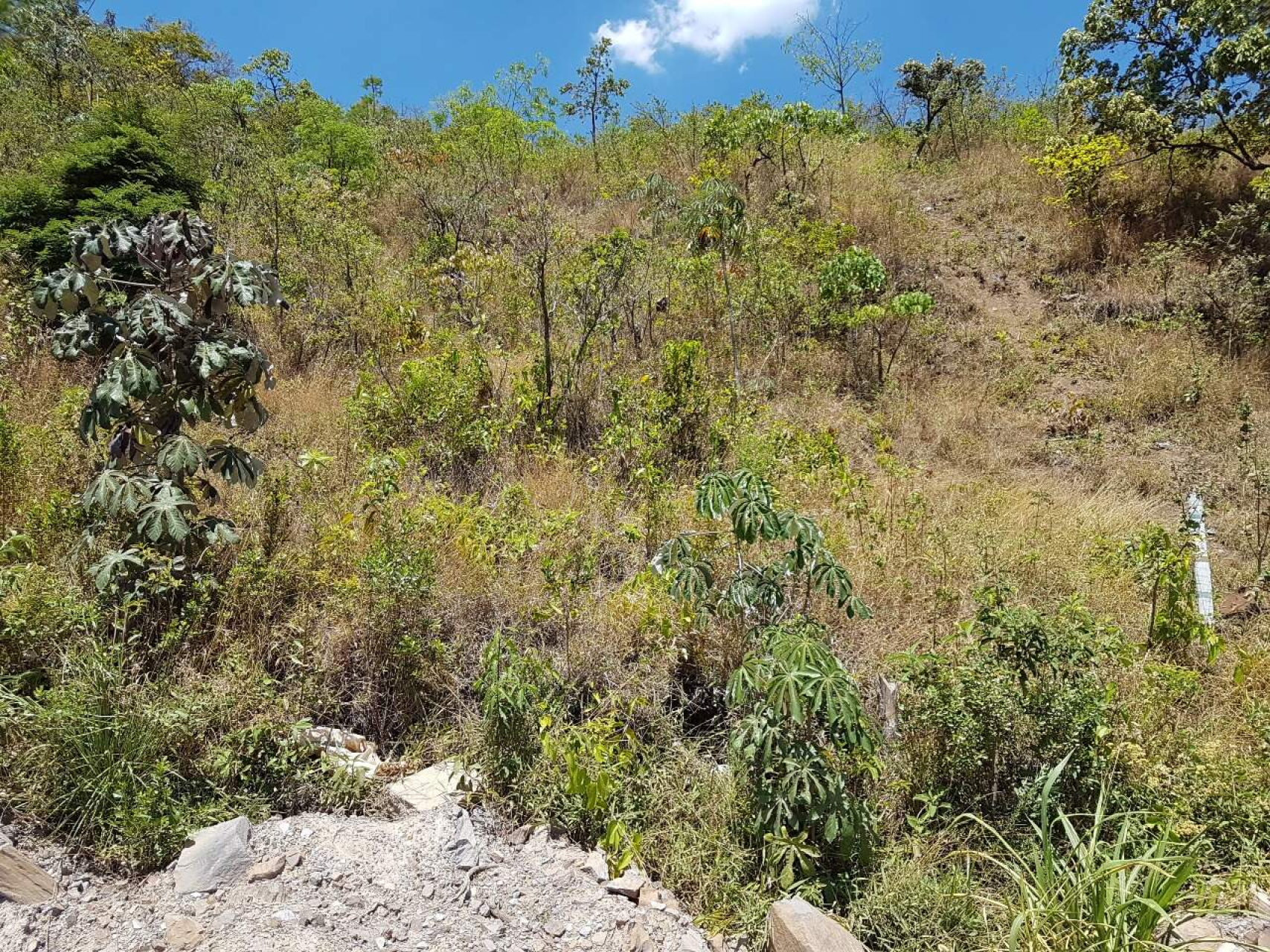 Lote - Terreno à venda, Mangabeiras, Belo Horizonte - MG