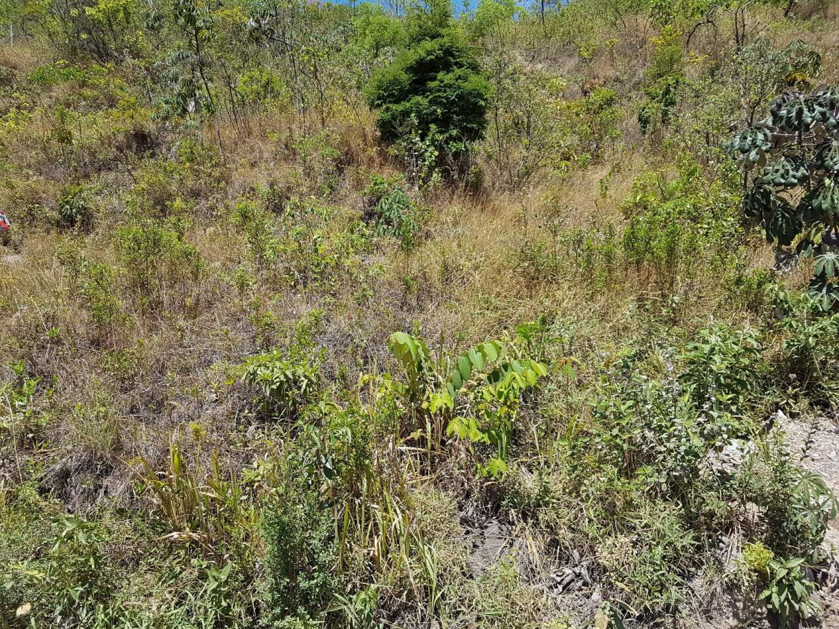 Lote - Terreno à venda, Mangabeiras, Belo Horizonte - MG