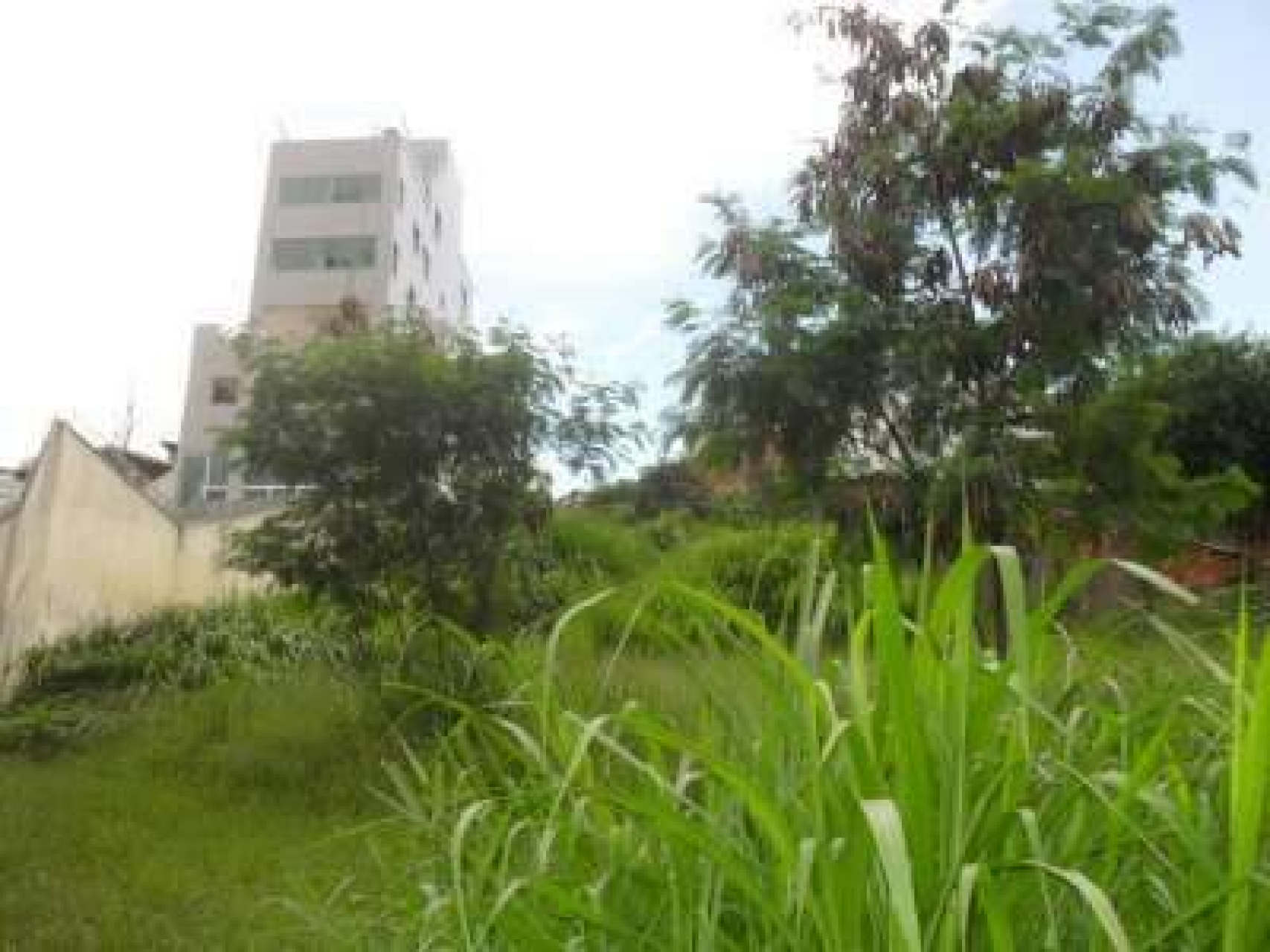 Lote - Terreno à venda, Santa Lúcia, Belo Horizonte - MG