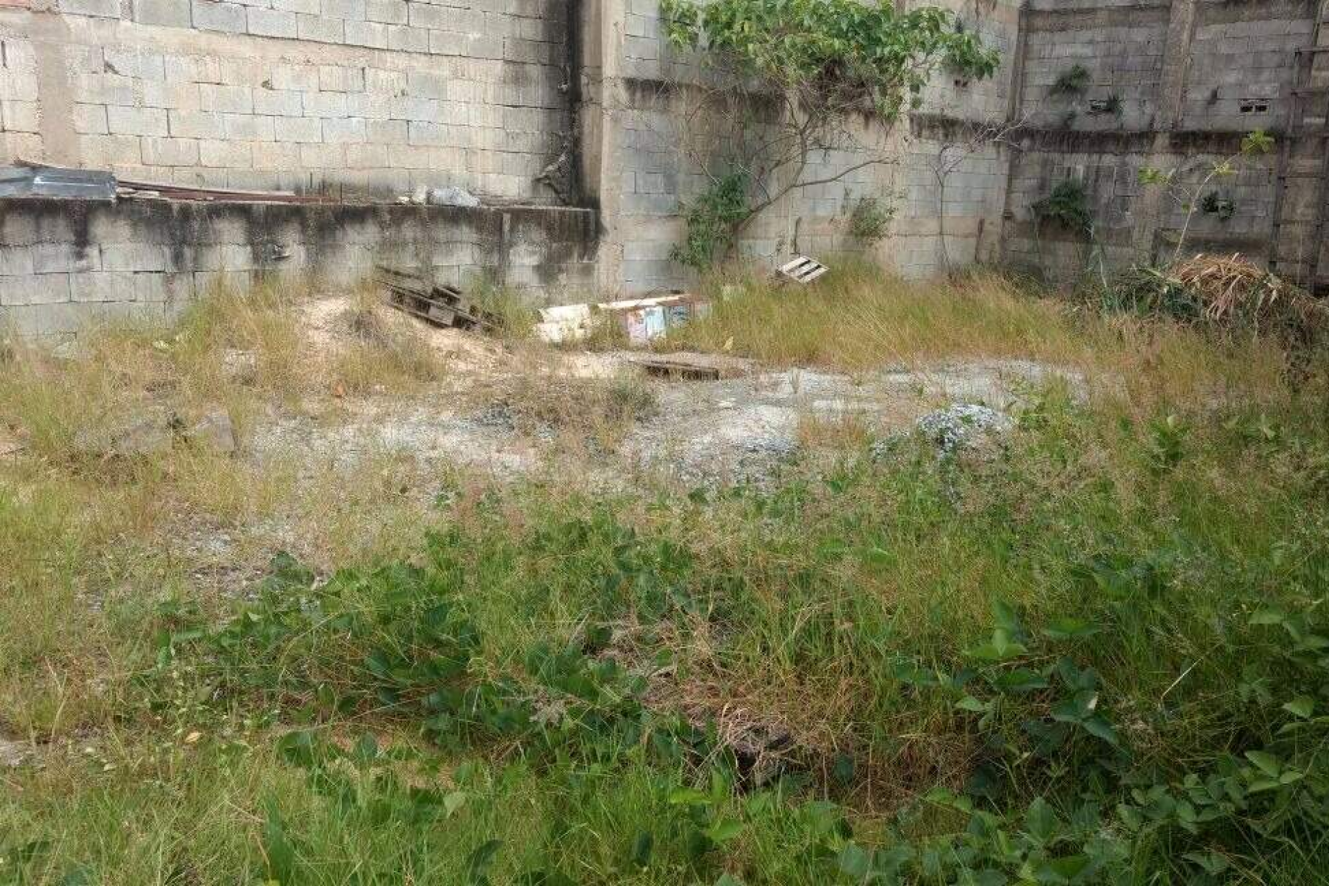 Imagem do Imóvel
