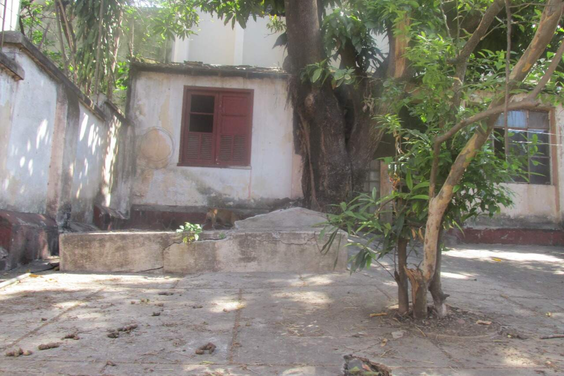 Casa de 5 quartos à venda, Barro Preto, Belo Horizonte - MG