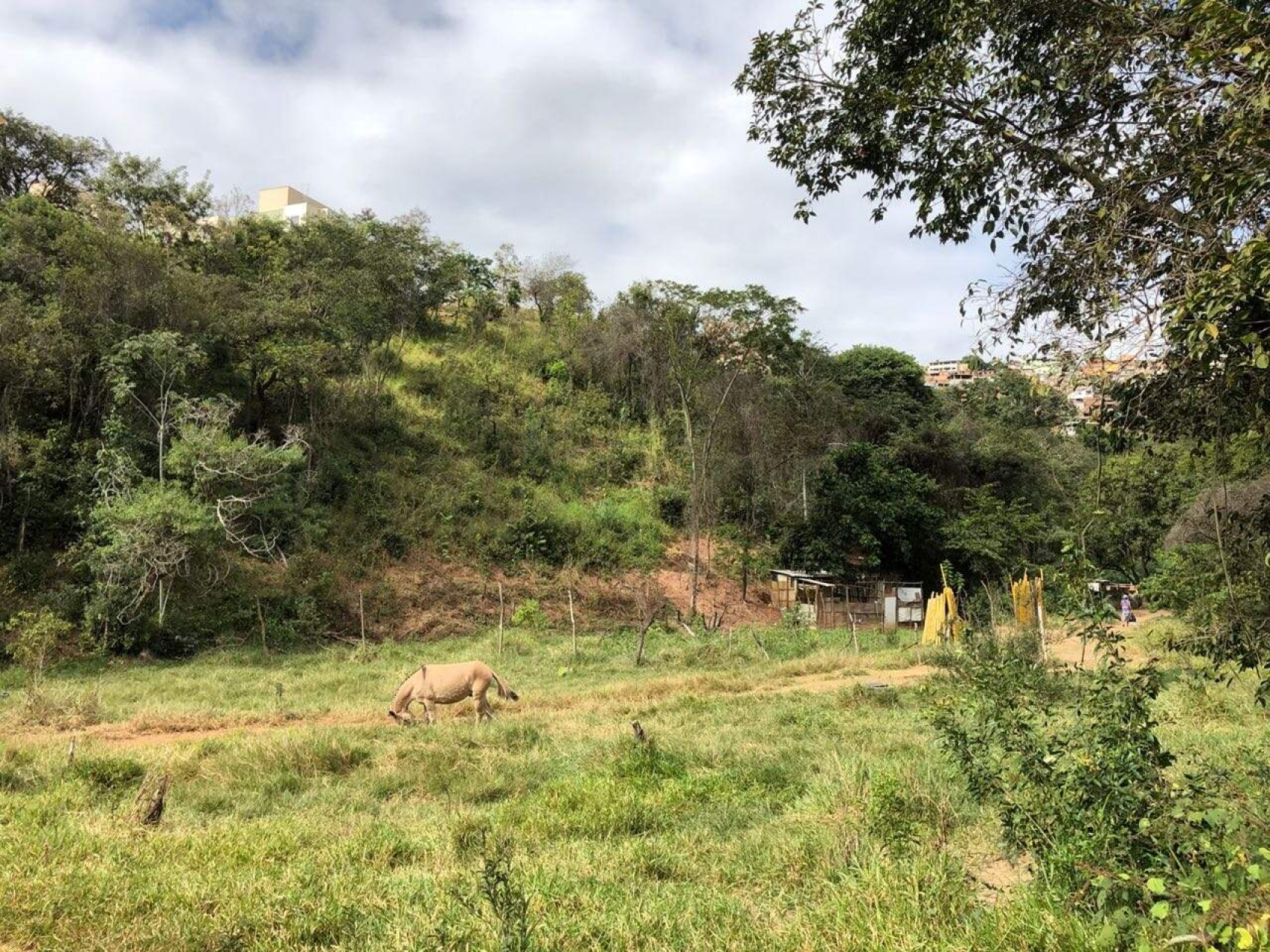 Imagem do Imóvel