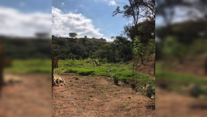 Lote - Terreno à venda, Granja de Freitas, Belo Horizonte - MG