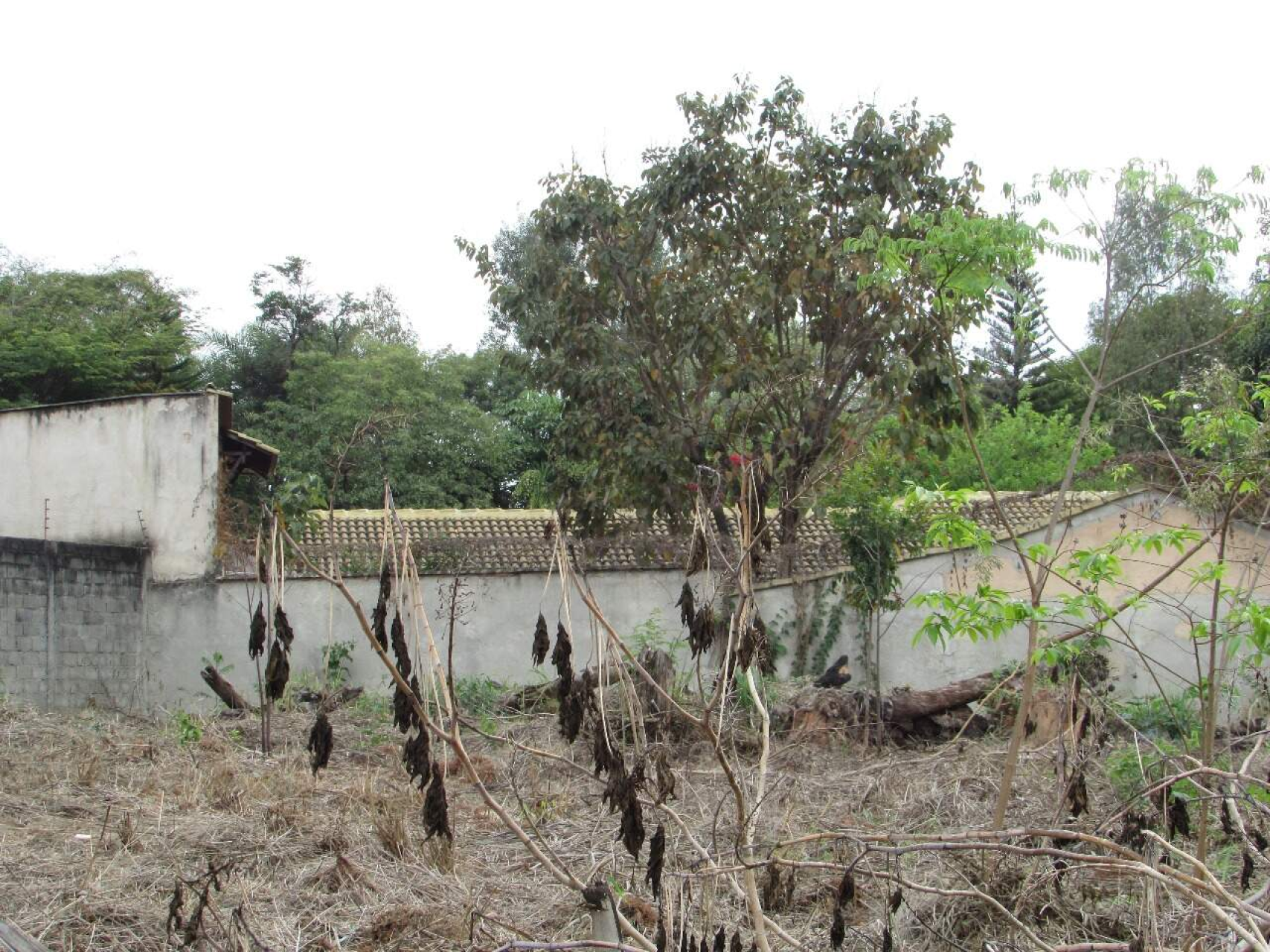 Lote - Terreno à venda, Trevo, Belo Horizonte - MG