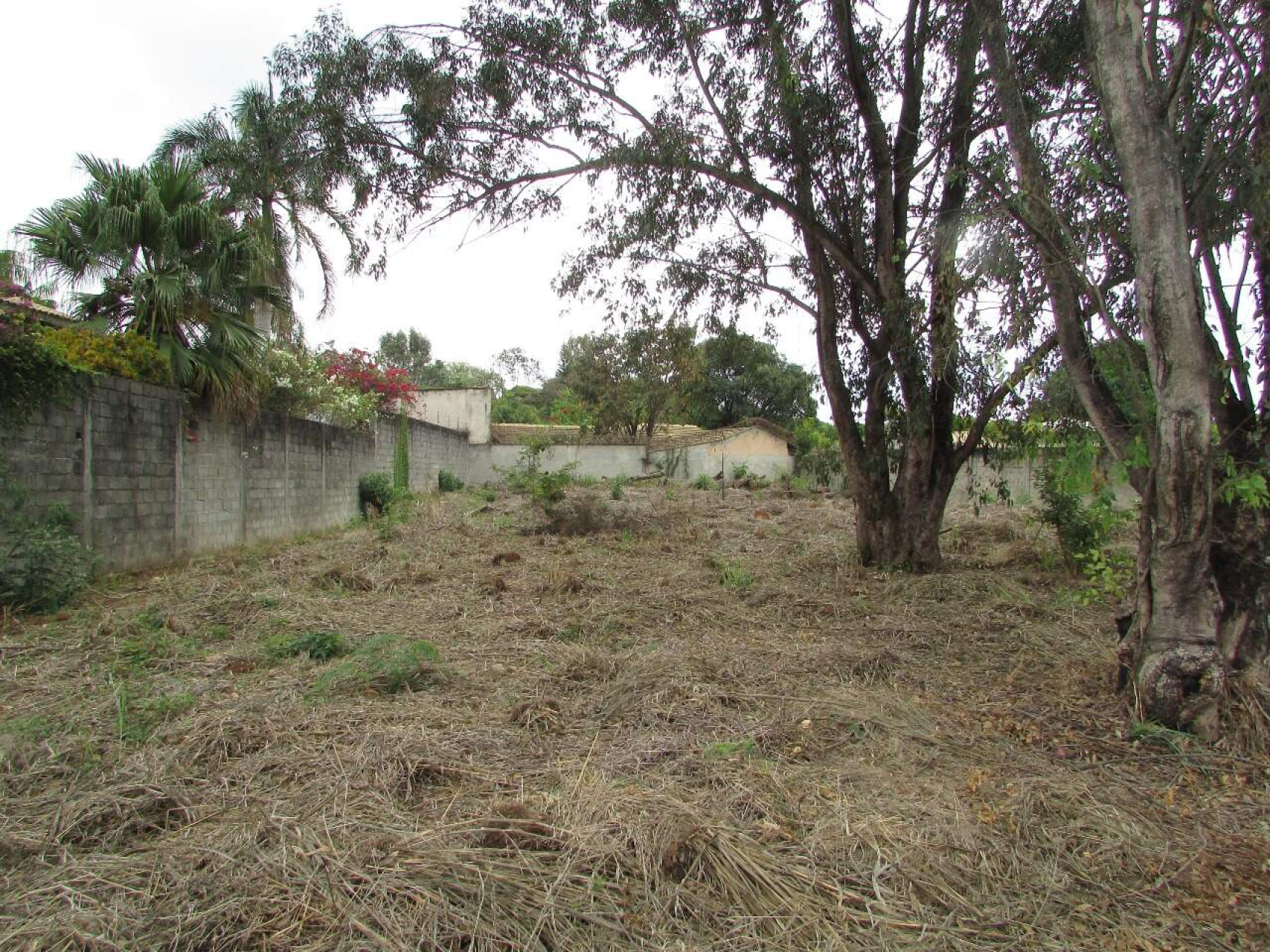 Lote - Terreno à venda, Trevo, Belo Horizonte - MG