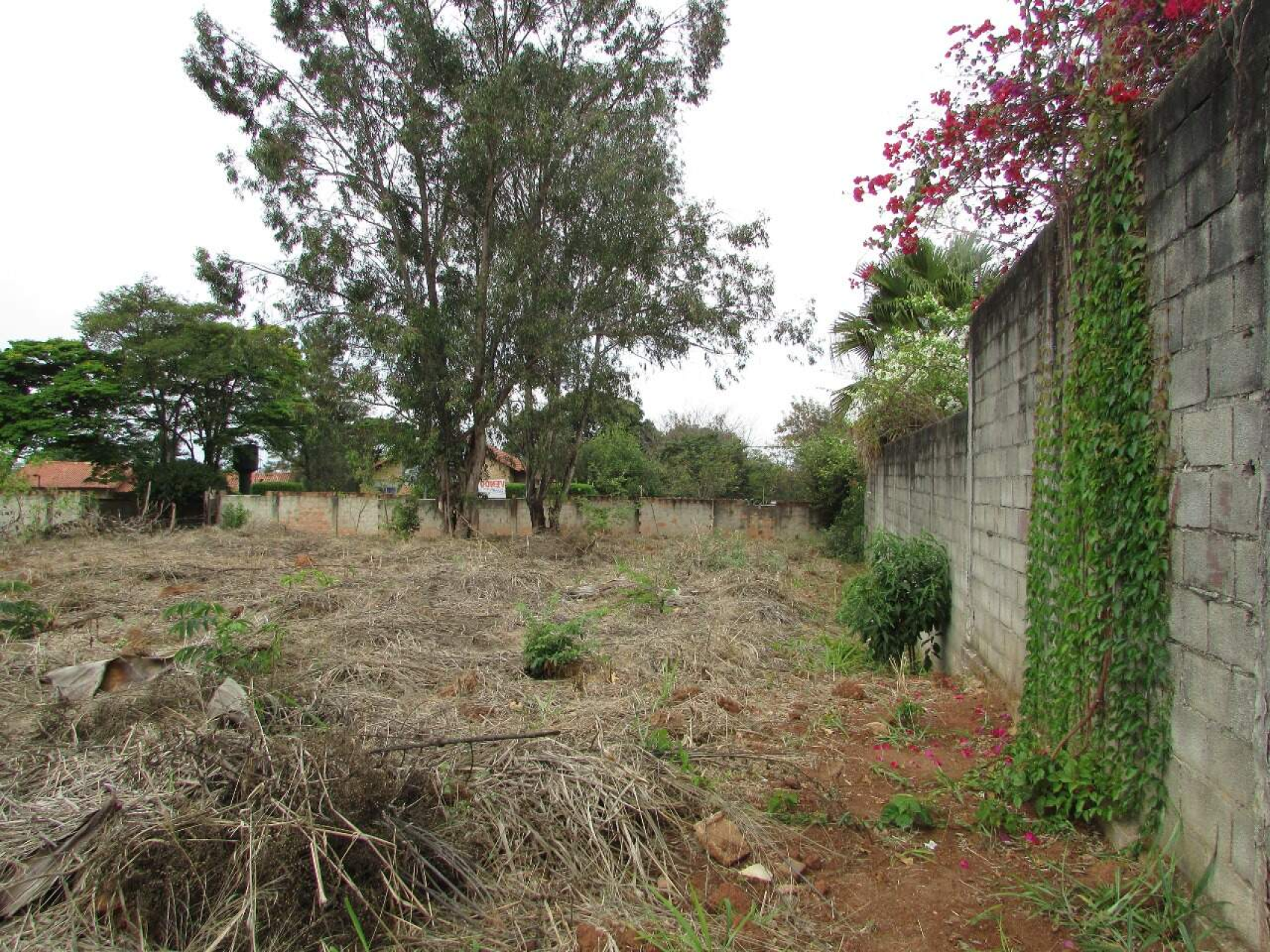 Lote - Terreno à venda, Trevo, Belo Horizonte - MG