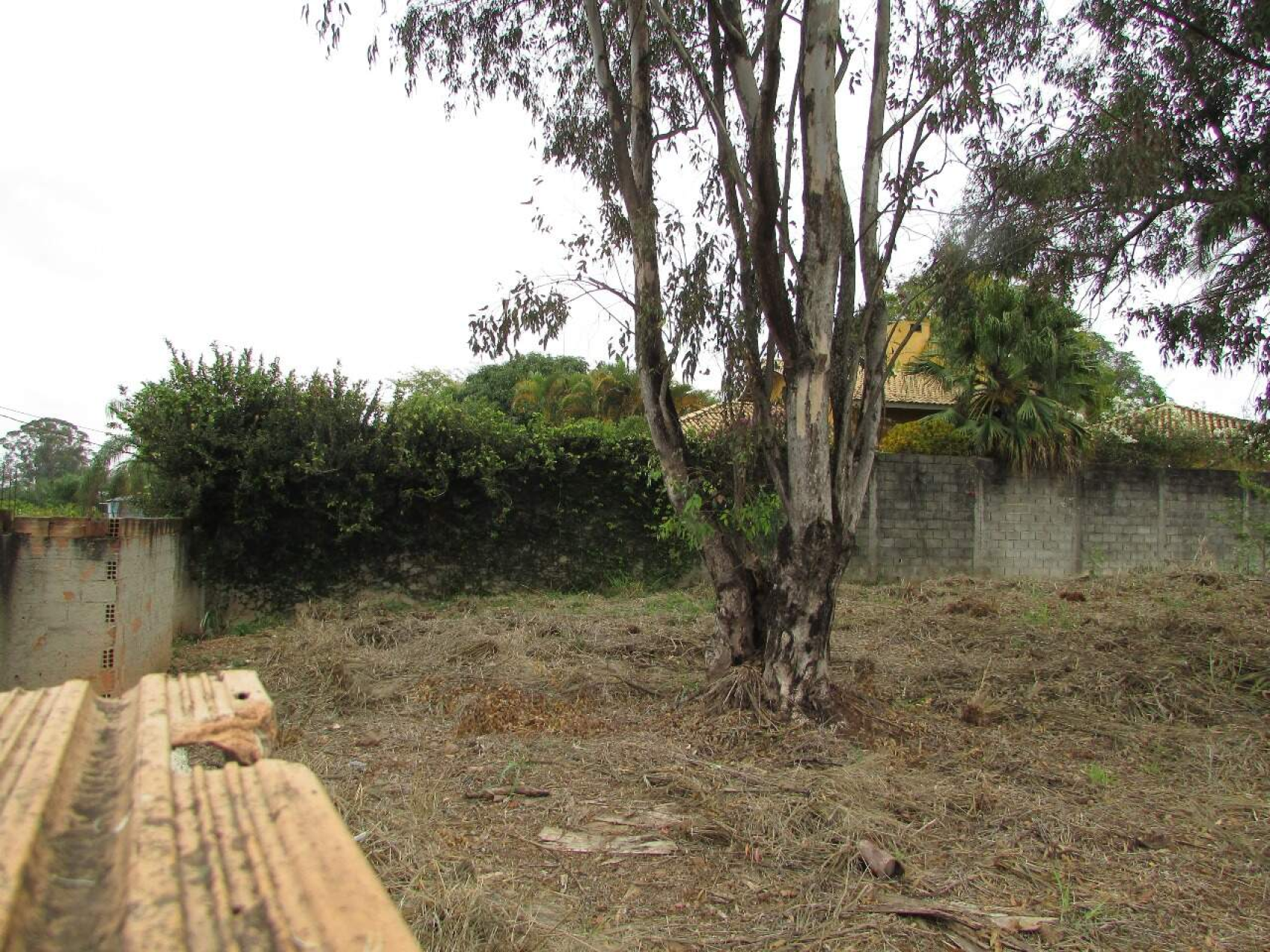 Lote - Terreno à venda, Trevo, Belo Horizonte - MG