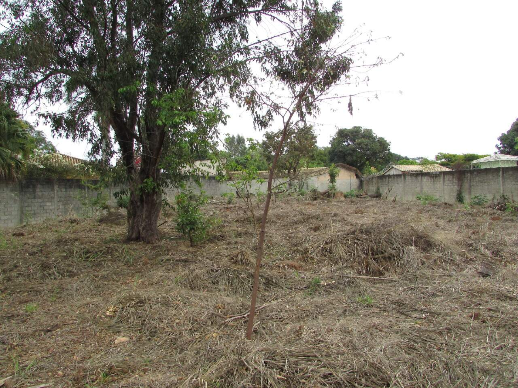 Lote - Terreno à venda, Trevo, Belo Horizonte - MG