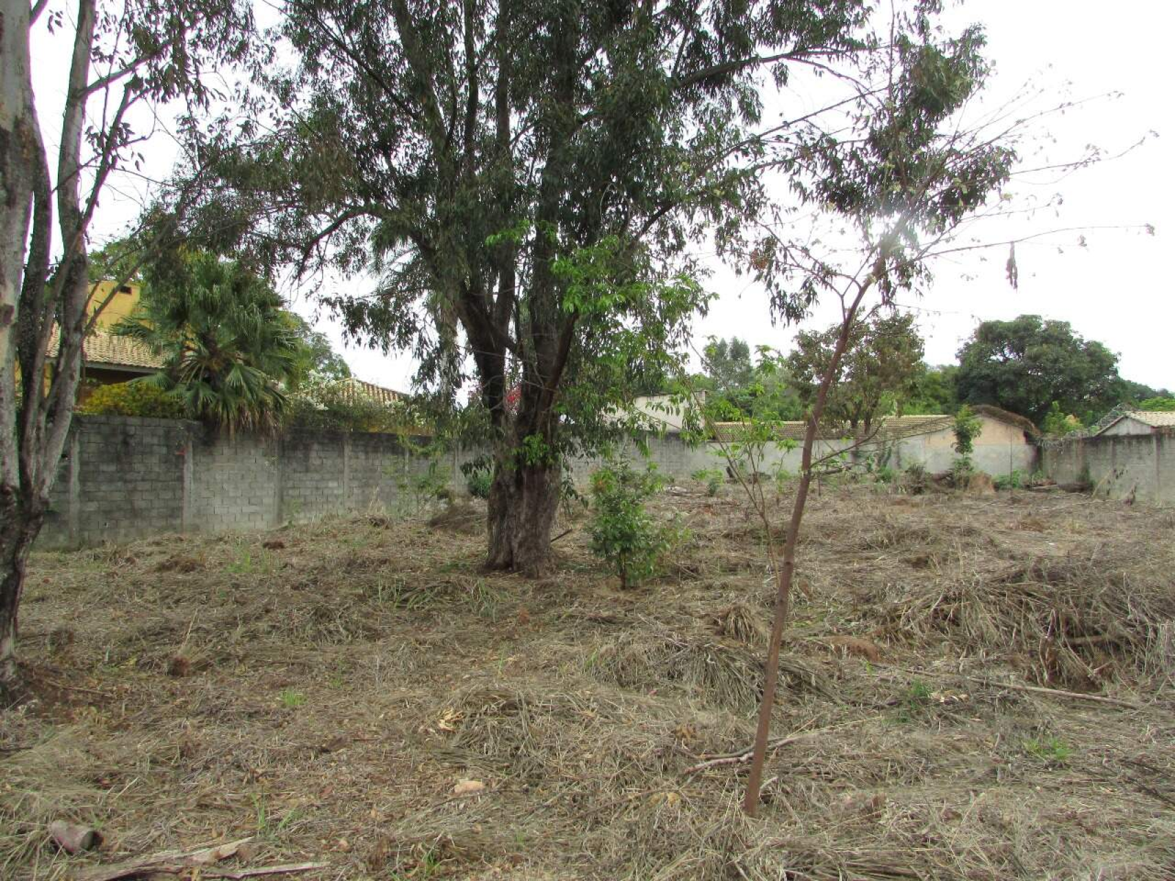 Lote - Terreno à venda, Trevo, Belo Horizonte - MG