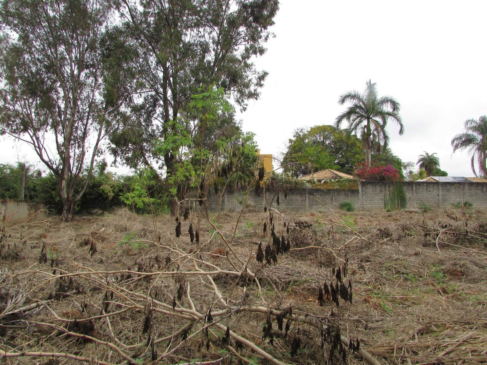 Lote - Terreno à venda, Trevo, Belo Horizonte - MG