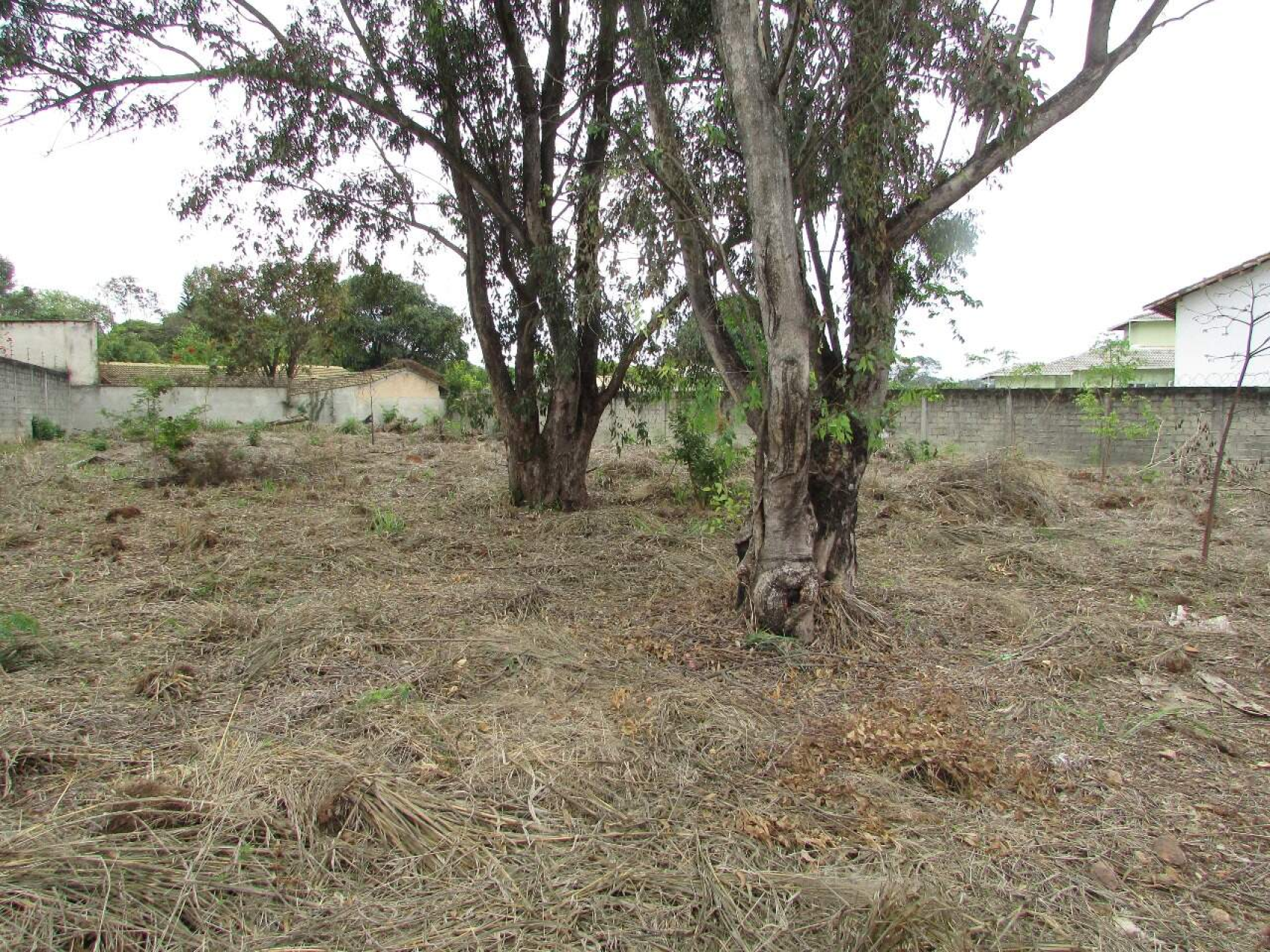 Lote - Terreno à venda, Trevo, Belo Horizonte - MG