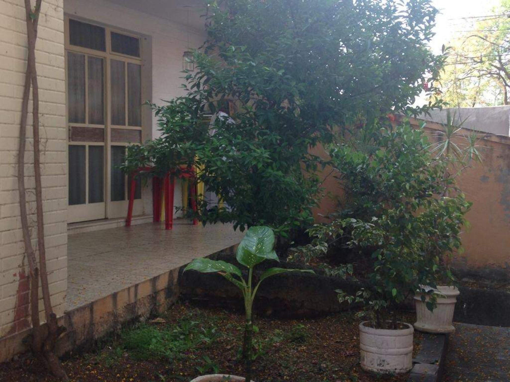 Casa de 3 quartos à venda, Santa Efigênia, Belo Horizonte - MG