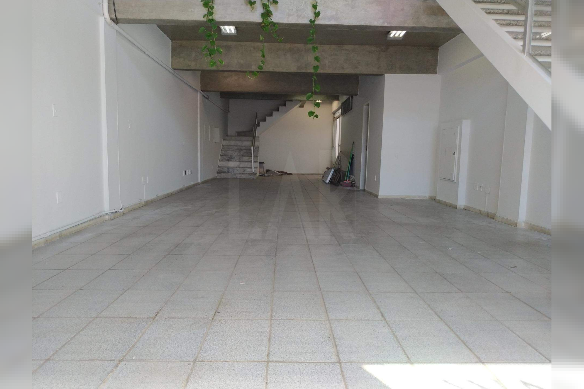 Loja para alugar, Estoril, Belo Horizonte - MG