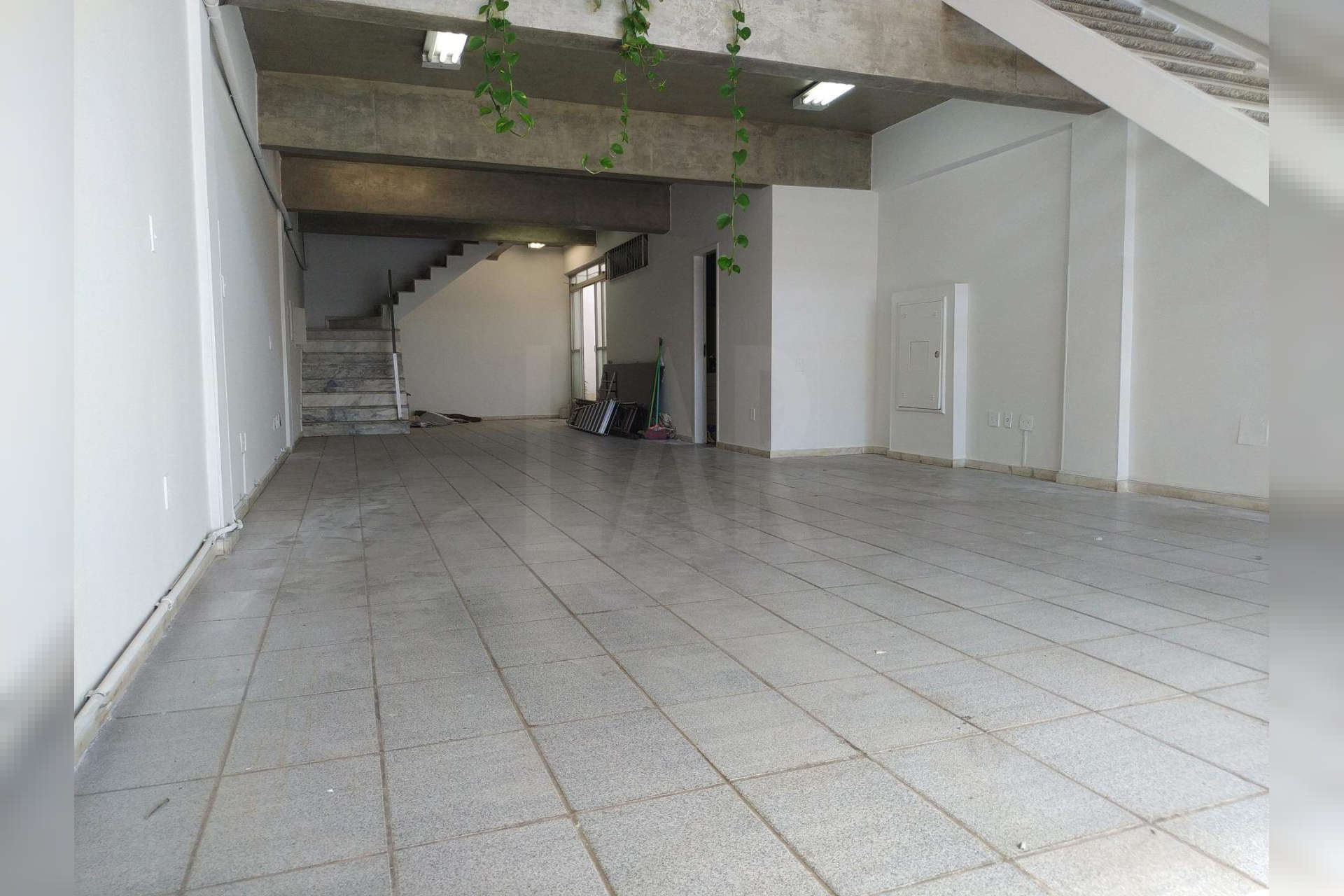 Loja para alugar, Estoril, Belo Horizonte - MG