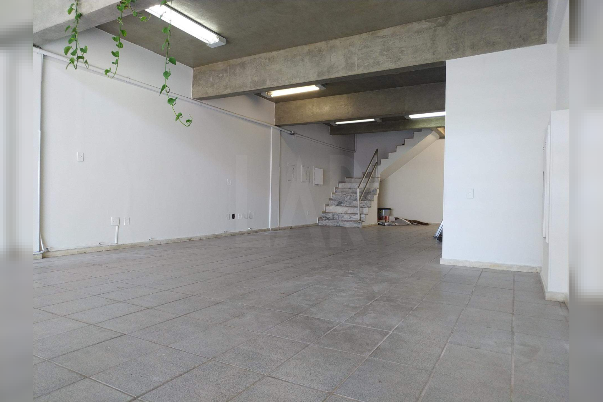 Loja para alugar, Estoril, Belo Horizonte - MG