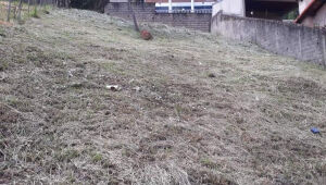 Lote - Terreno à venda, Santa Lúcia, Belo Horizonte - MG