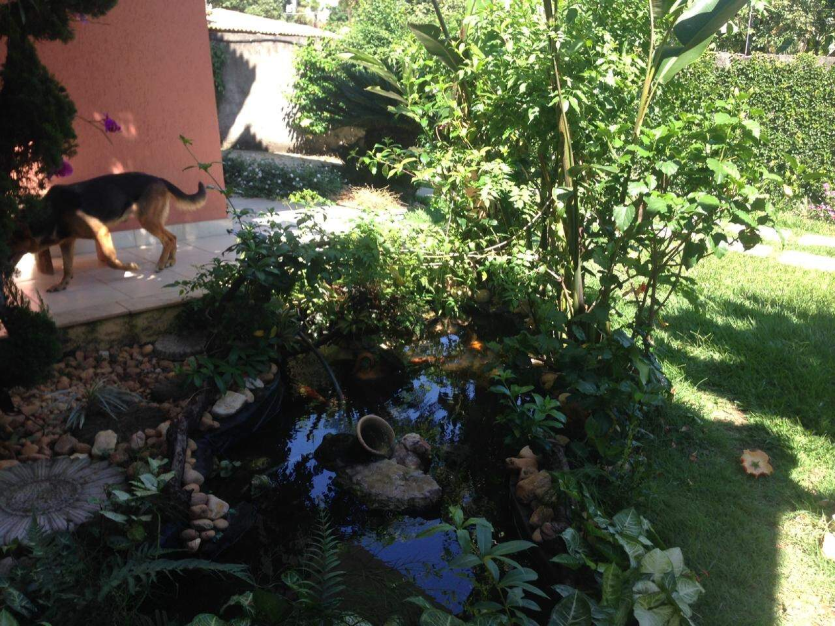 Foto 6