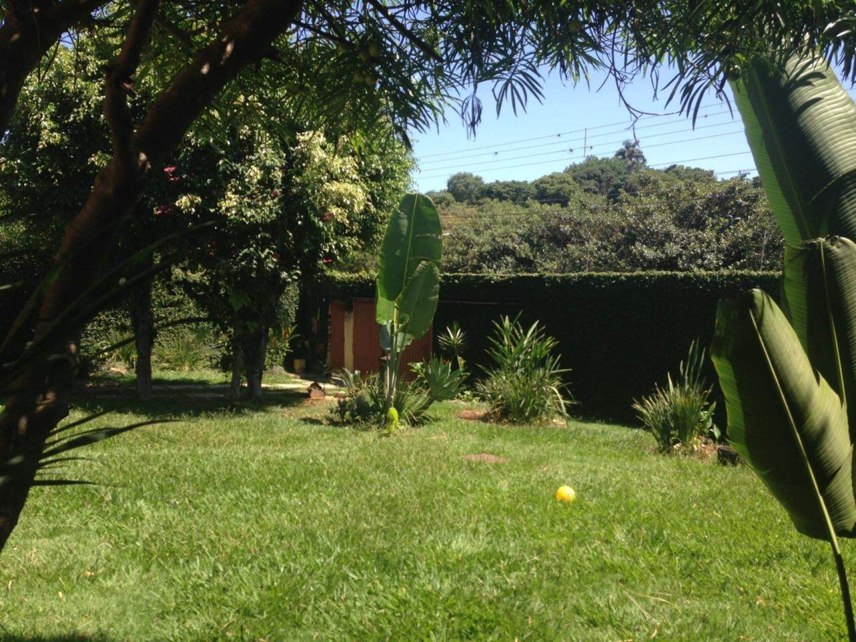 Foto 8