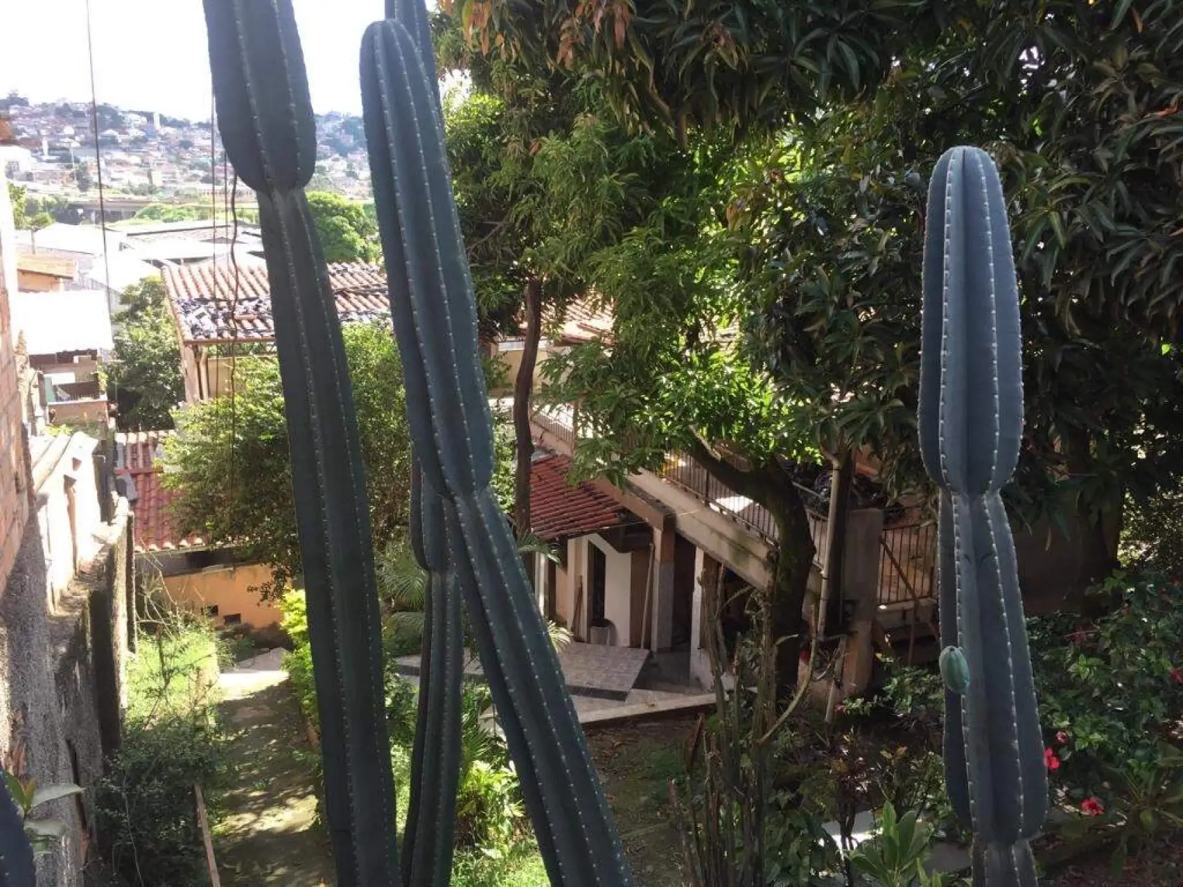 Imagem do Imóvel