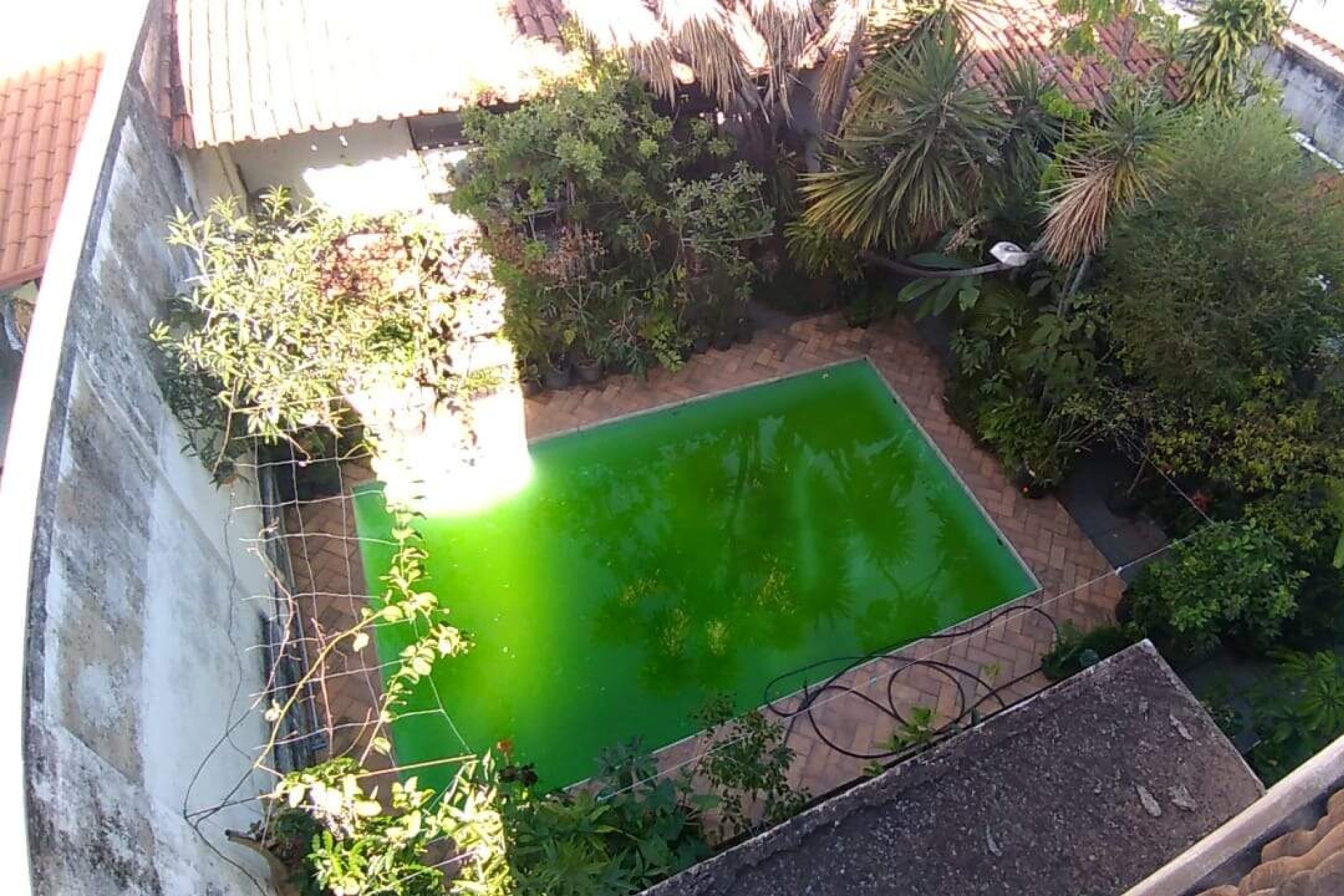 Casa de 6 quartos à venda, Palmares, Belo Horizonte - MG