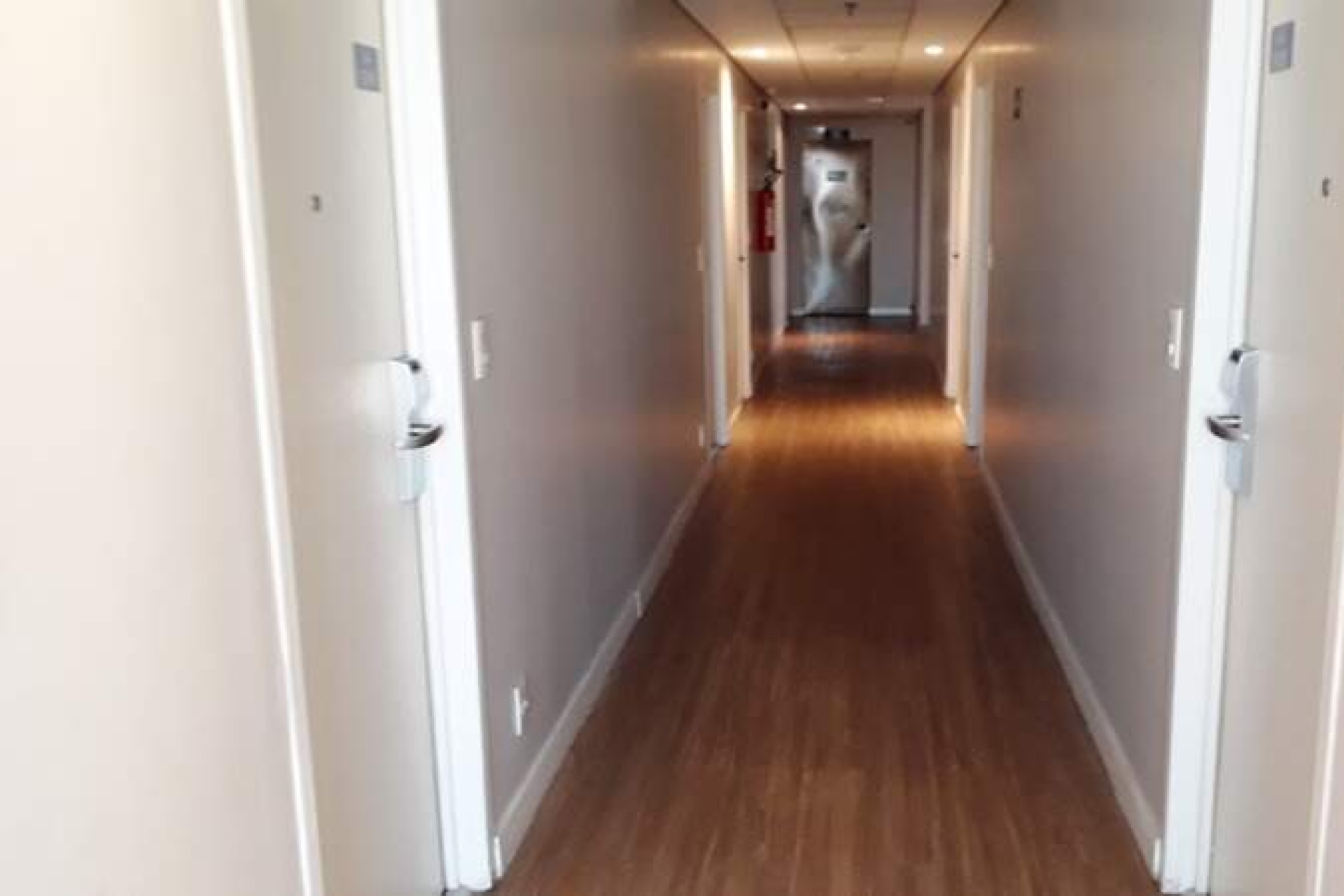 Apartamento de 1 quarto à venda, Nova Suíssa, Belo Horizonte - MG