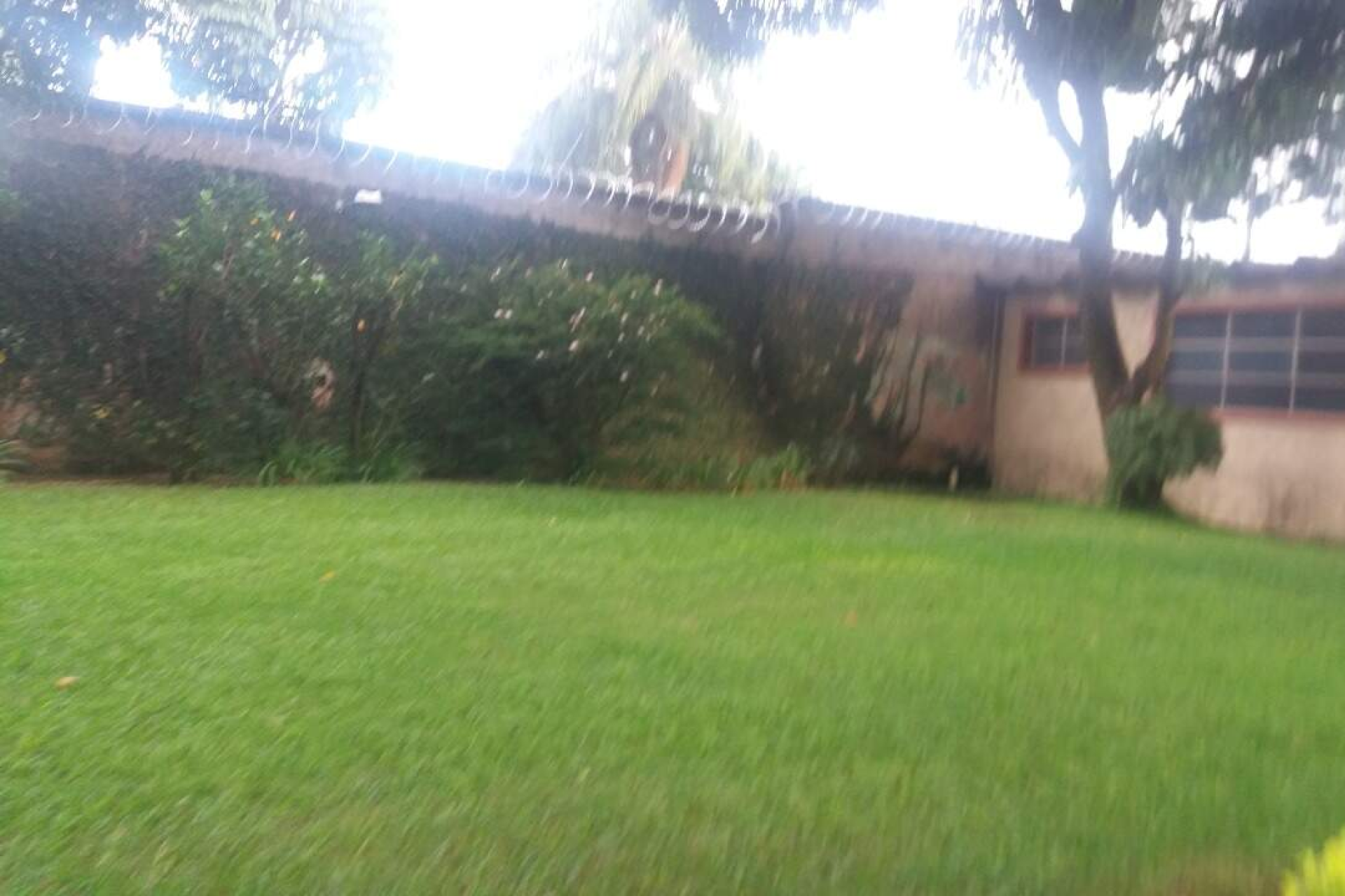 Prédio à venda, São Luiz, Belo Horizonte - MG