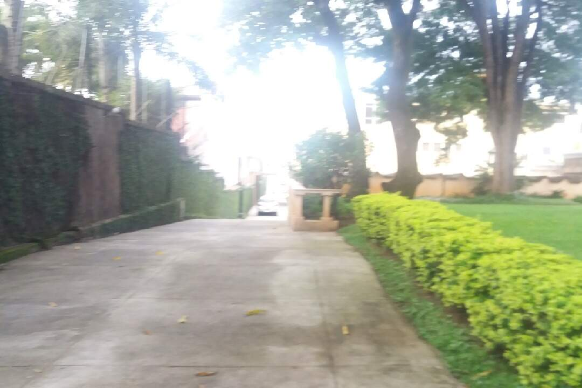 Prédio à venda, São Luiz, Belo Horizonte - MG