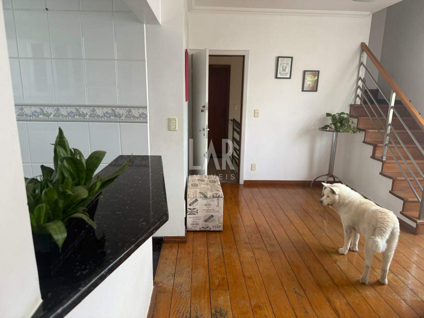 Cobertura de 3 quartos à venda, Silveira, Belo Horizonte - MG