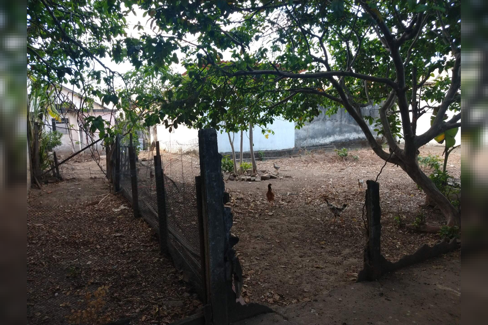 Lote - Terreno à venda, Santa Efigênia, Belo Horizonte - MG