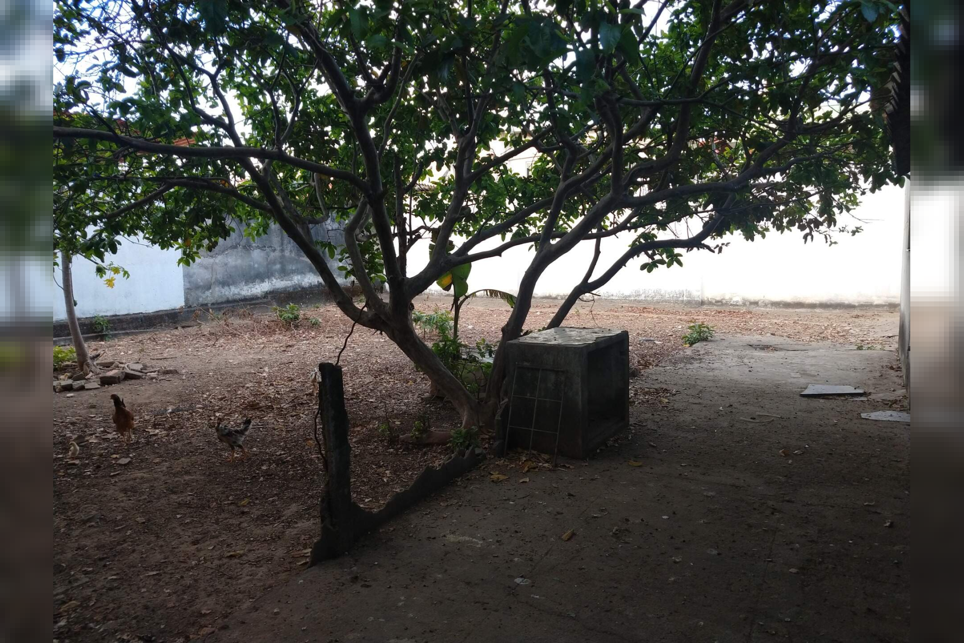 Lote - Terreno à venda, Santa Efigênia, Belo Horizonte - MG