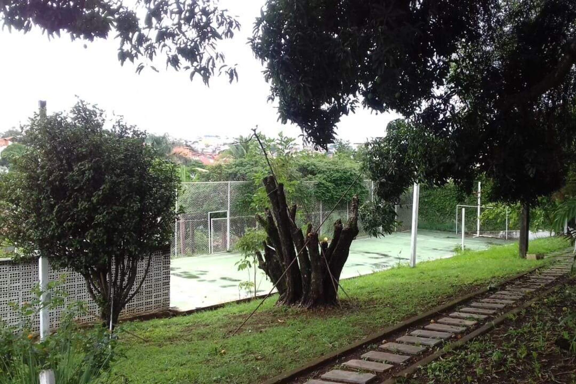 Casa de 5 quartos para alugar, Santa Amélia, Belo Horizonte - MG