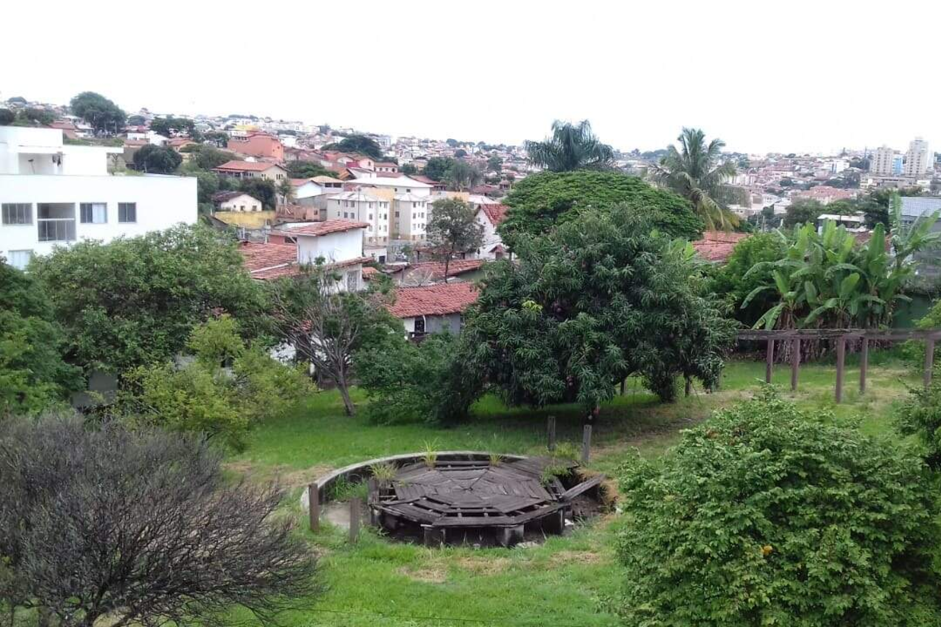Casa de 5 quartos para alugar, Santa Amélia, Belo Horizonte - MG