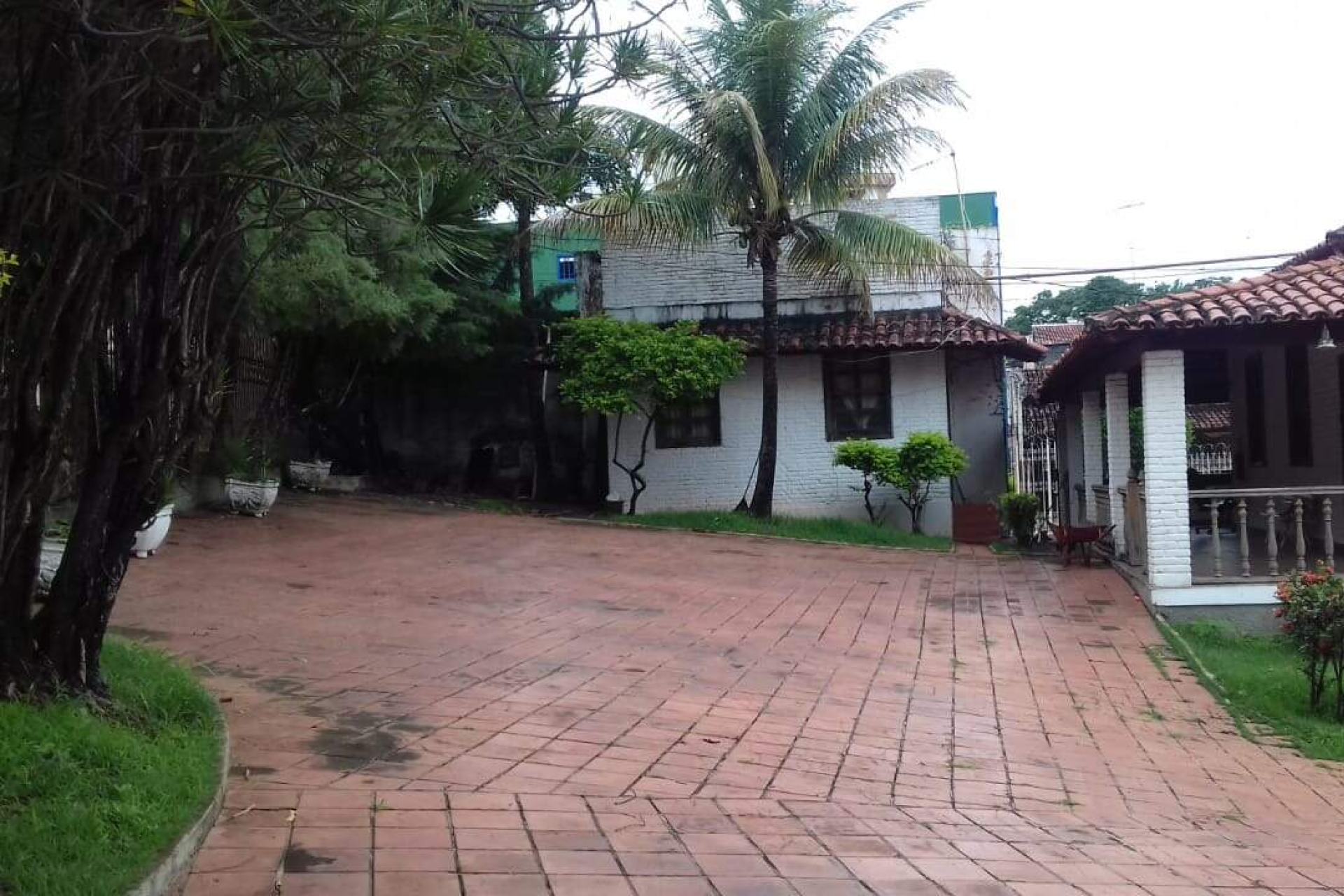 Casa de 5 quartos para alugar, Santa Amélia, Belo Horizonte - MG